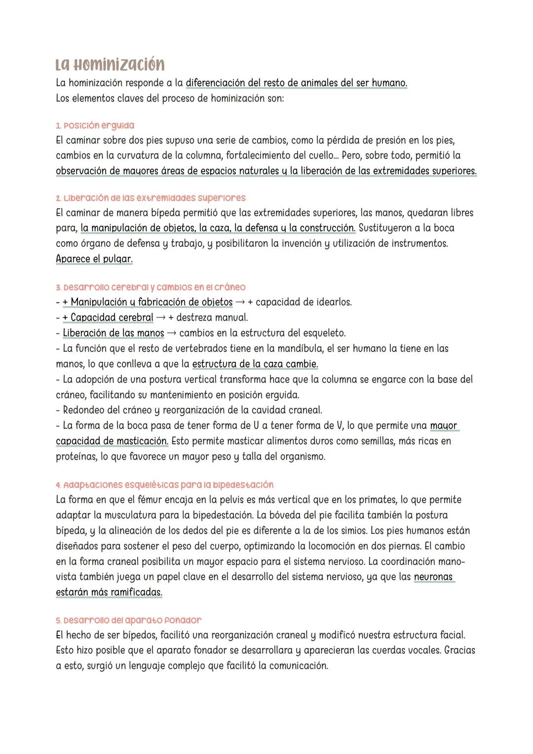 TEMA: ANTROPOLOG
1. Las dimensiones del ser humano
El ser humano es pluridimensional, por lo que la antropolog
la antropologia Pisica, que