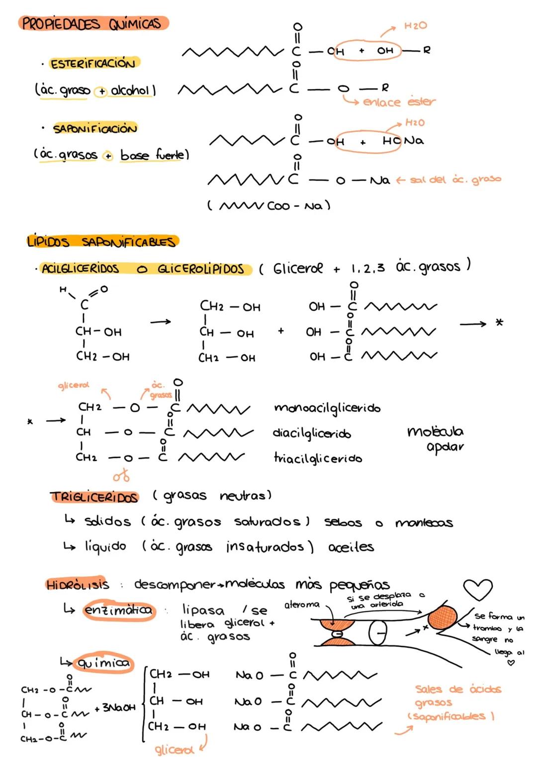 --- OCR Start ---
• LIPIDOS
saponificables (Contienen ácidos grasos)
no saponificables (no contienen ácidos grasos)
• Ácido graso → Cadena h