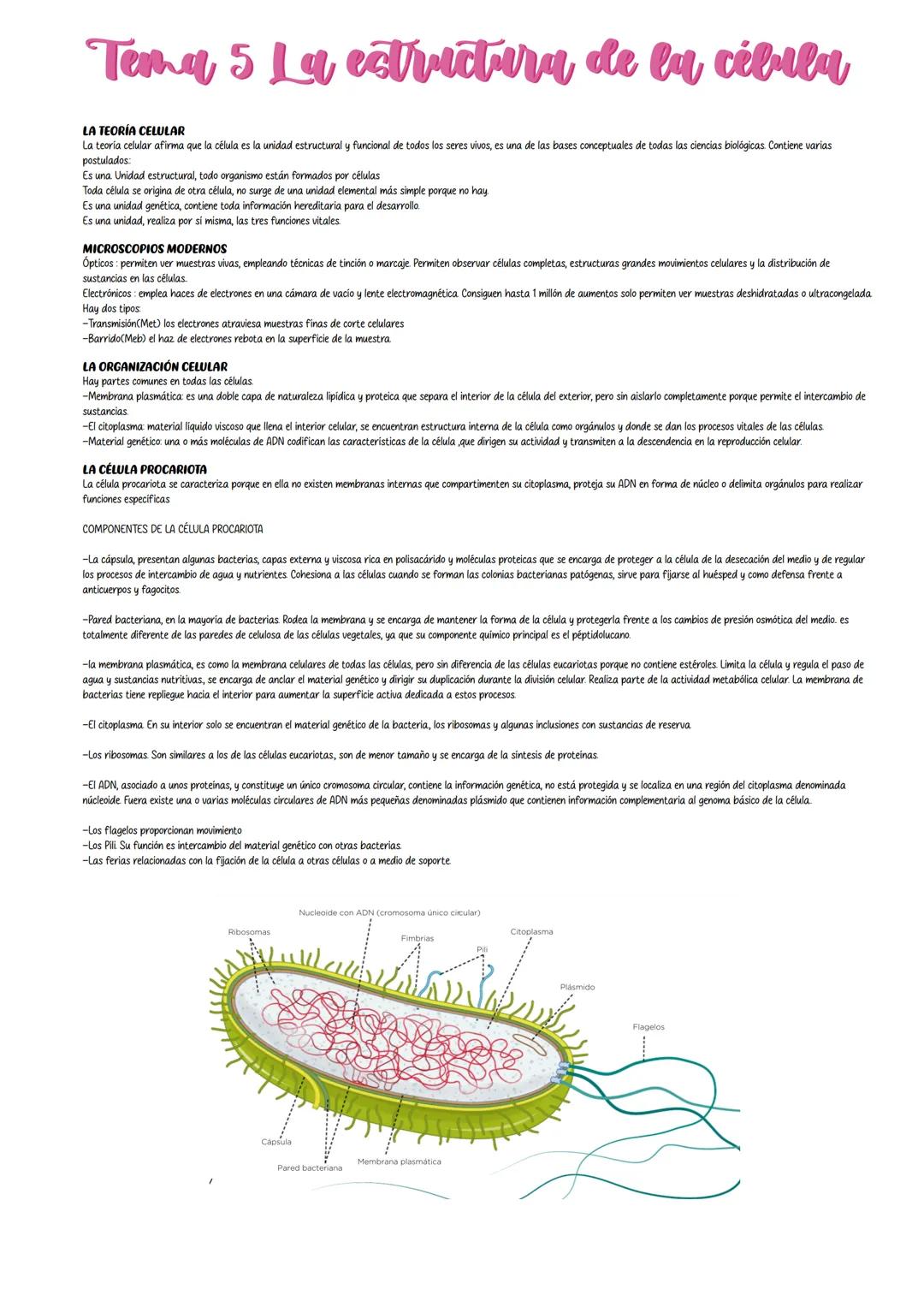 Tema 5 La estructura de la célula
LA TEORÍA CELULAR
La teoría celular afirma que la célula es la unidad estructural y funcional de todos los