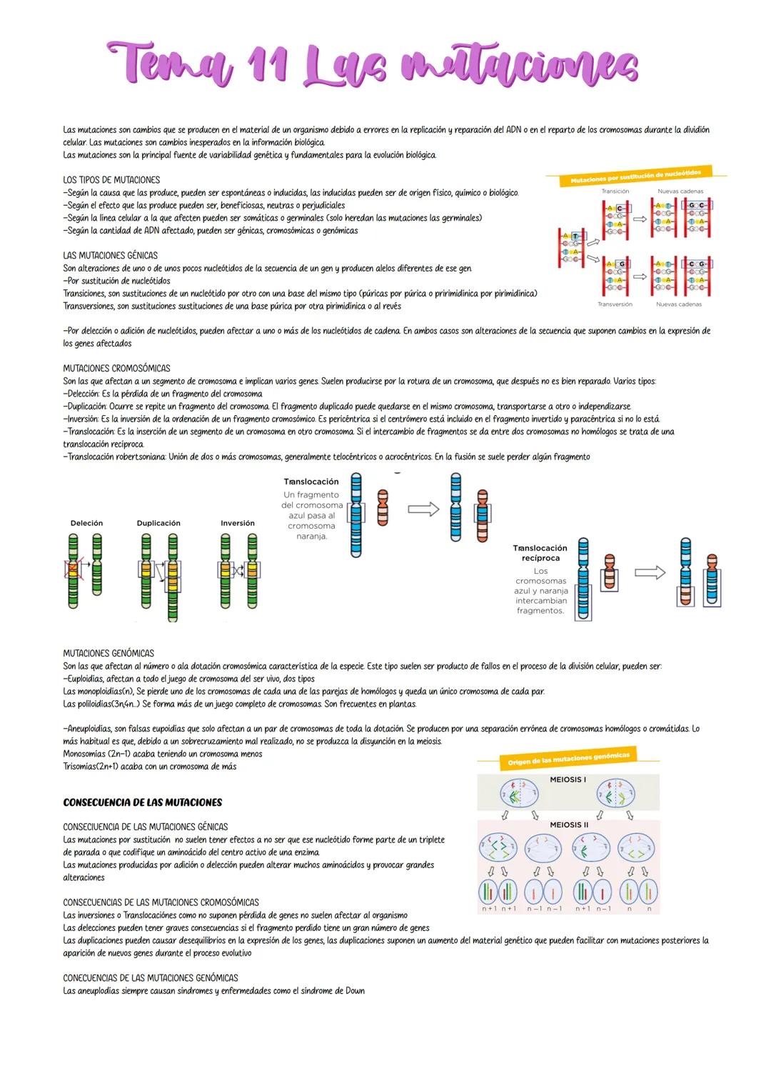 Tema 11 Las mitaciones
Las mutaciones son cambios que se producen en el material de un organismo debido a errores en la replicación y repara
