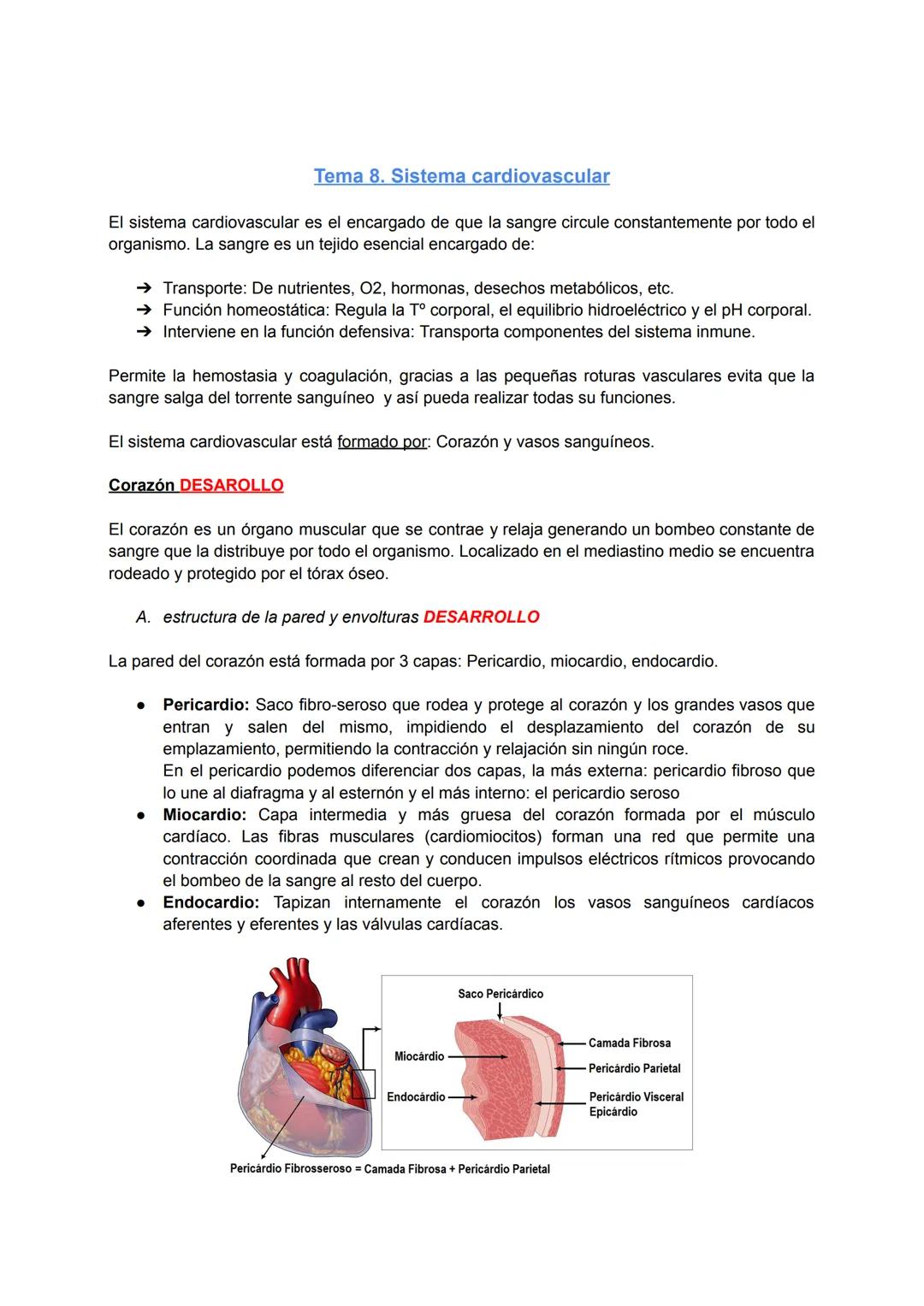 Sistema cardiovascular