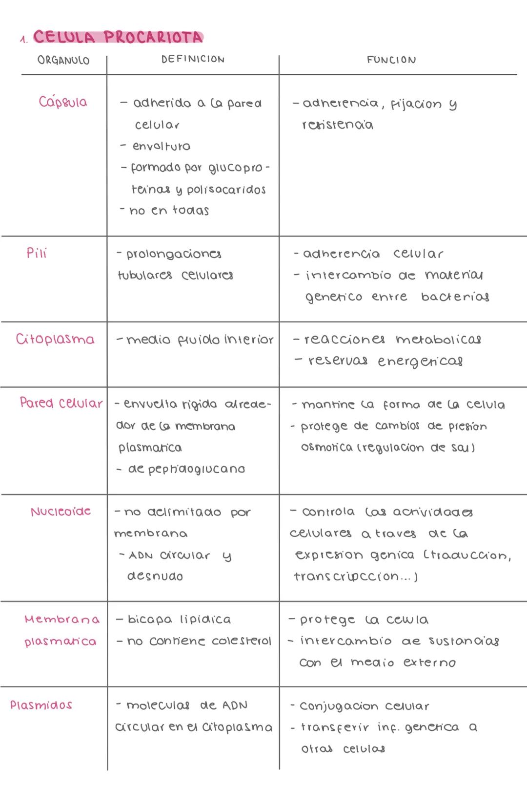 Partes de la célula (procariota y eucariota animal/vegetal)