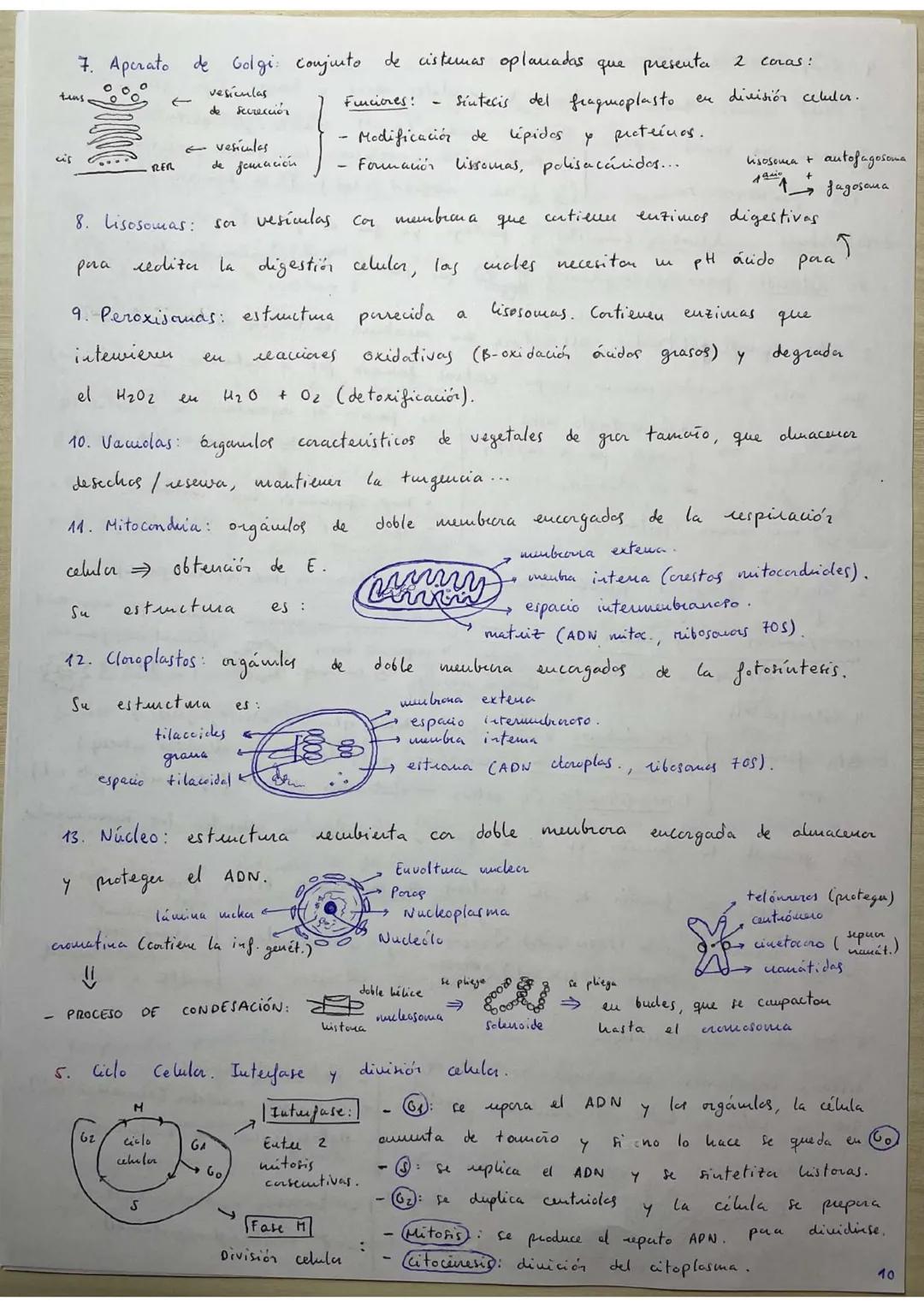 ## RESÚMENES PAU BIOLOGÍA.
## BLOQUE 1: Bioquímica.
1. **Bioelementos:** son elementos químicos que forman parte de la materia viva.
La un