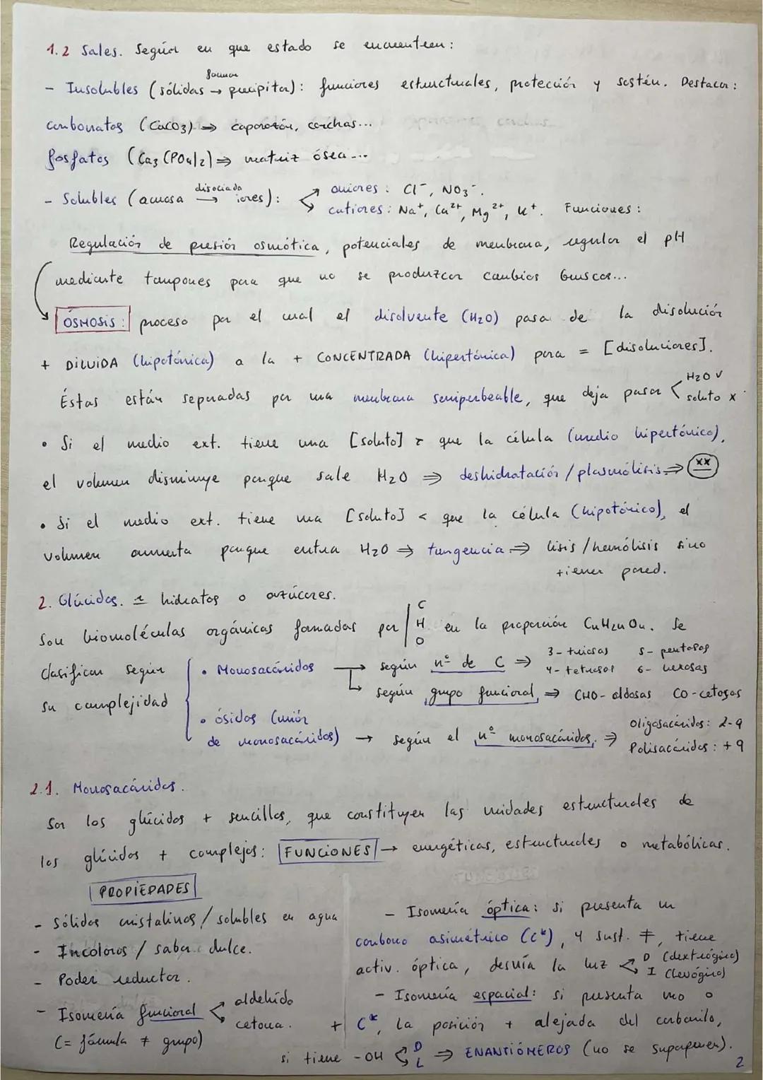 ## RESÚMENES PAU BIOLOGÍA.
## BLOQUE 1: Bioquímica.
1. **Bioelementos:** son elementos químicos que forman parte de la materia viva.
La un
