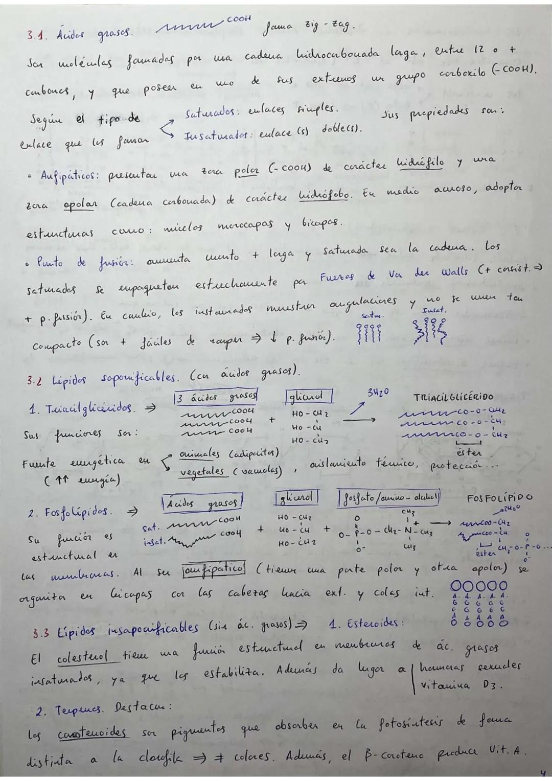 ## RESÚMENES PAU BIOLOGÍA.
## BLOQUE 1: Bioquímica.
1. **Bioelementos:** son elementos químicos que forman parte de la materia viva.
La un
