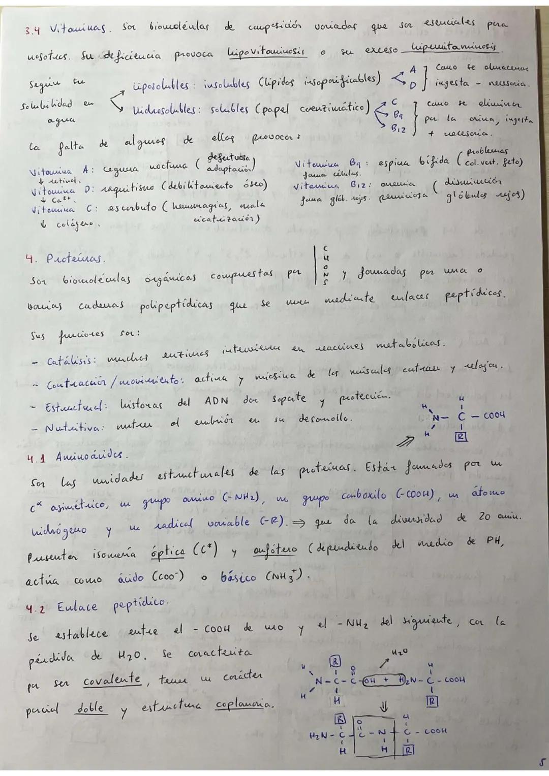 ## RESÚMENES PAU BIOLOGÍA.
## BLOQUE 1: Bioquímica.
1. **Bioelementos:** son elementos químicos que forman parte de la materia viva.
La un