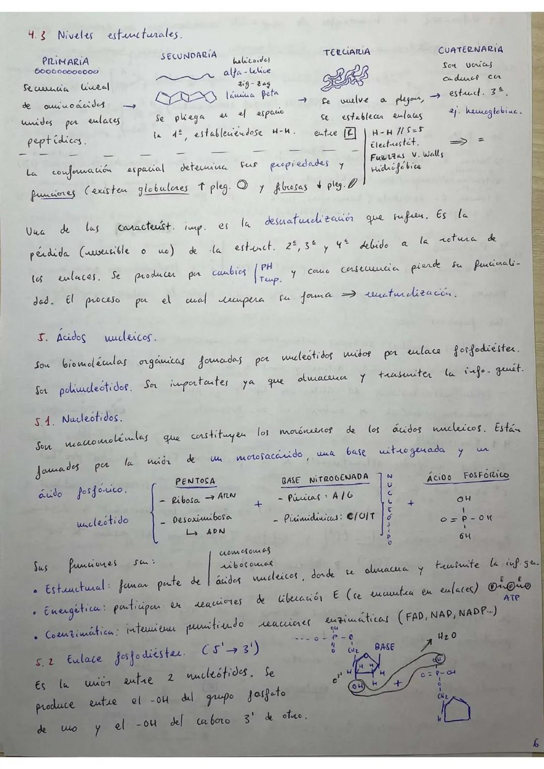 ## RESÚMENES PAU BIOLOGÍA.
## BLOQUE 1: Bioquímica.
1. **Bioelementos:** son elementos químicos que forman parte de la materia viva.
La un