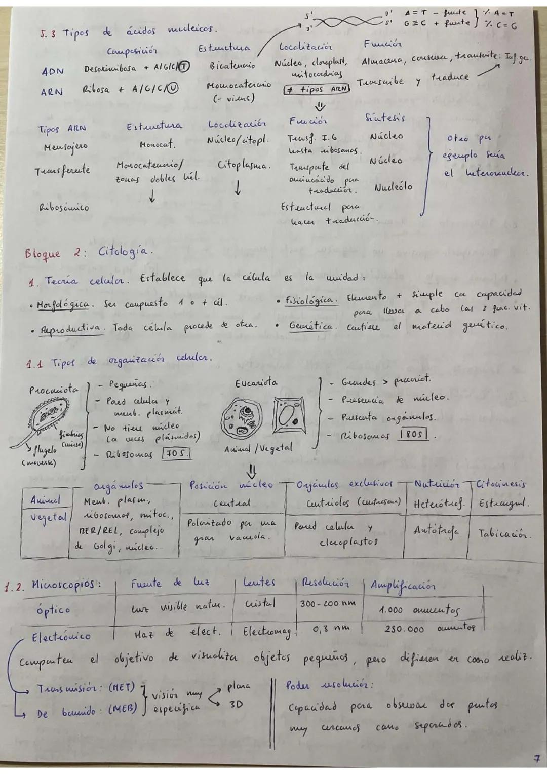 ## RESÚMENES PAU BIOLOGÍA.
## BLOQUE 1: Bioquímica.
1. **Bioelementos:** son elementos químicos que forman parte de la materia viva.
La un