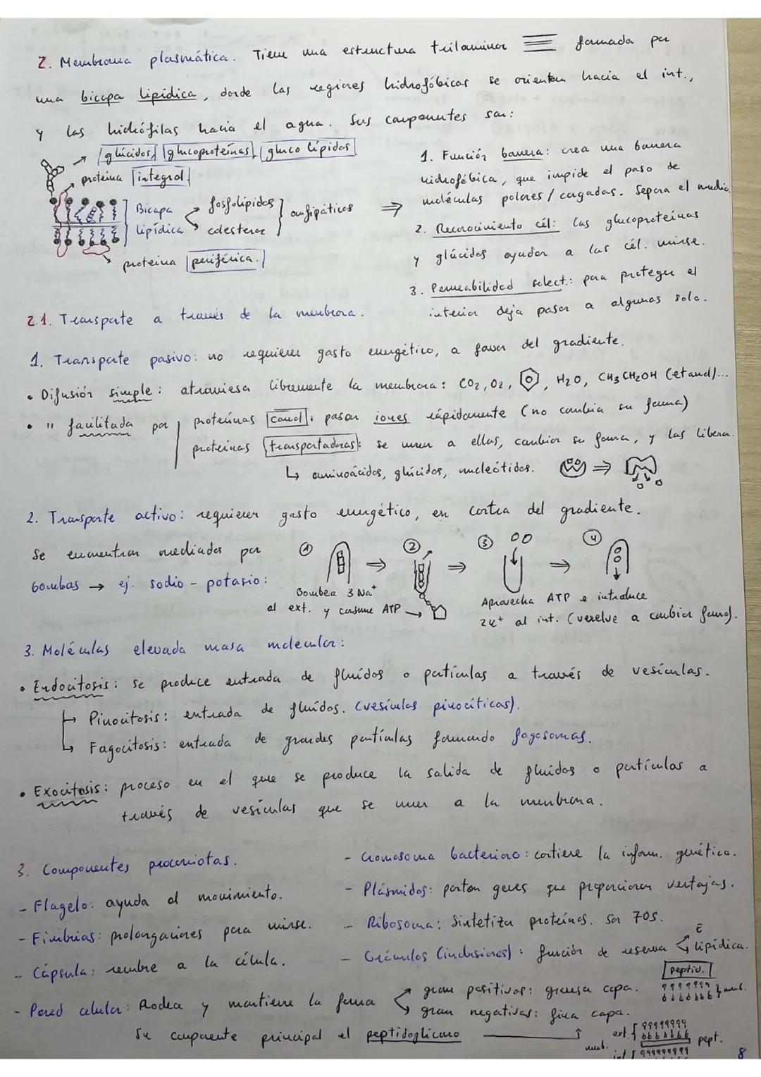 ## RESÚMENES PAU BIOLOGÍA.
## BLOQUE 1: Bioquímica.
1. **Bioelementos:** son elementos químicos que forman parte de la materia viva.
La un