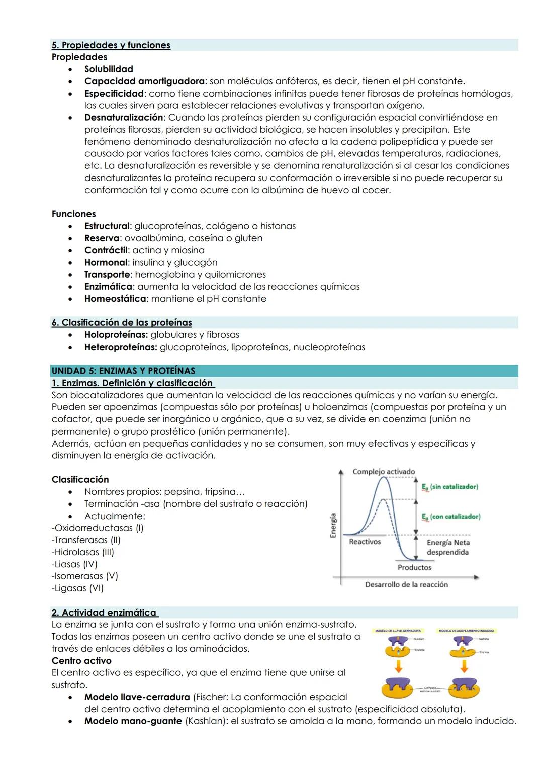 BLOQUE: BIOMOLÉCULAS
TEMA 1: LA BASE QUÍMICA DE LA VIDA
1. Niveles de organización
Los niveles de organización son los grados de complejidad