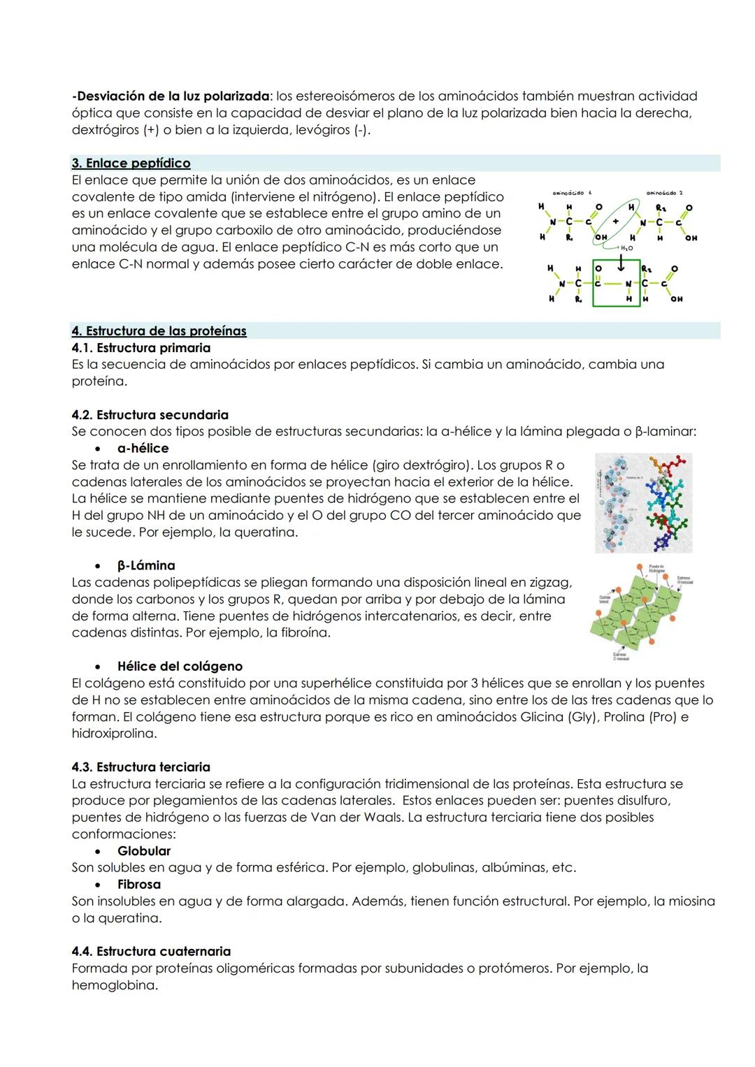 BLOQUE: BIOMOLÉCULAS
TEMA 1: LA BASE QUÍMICA DE LA VIDA
1. Niveles de organización
Los niveles de organización son los grados de complejidad
