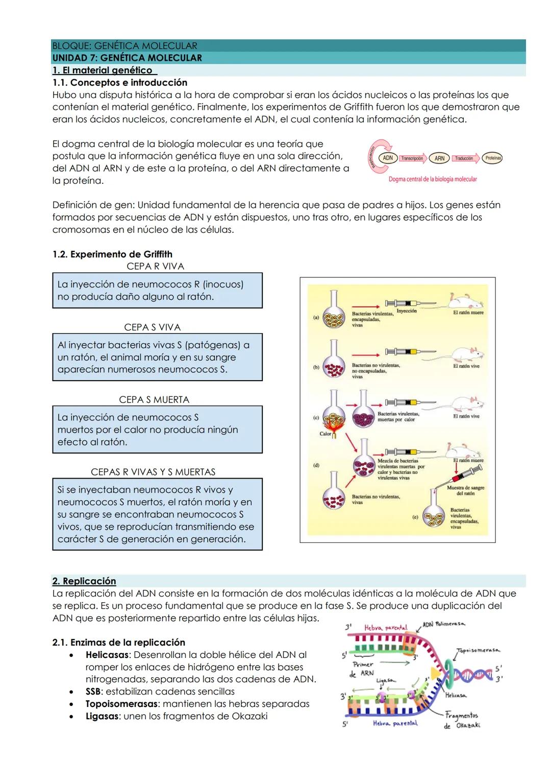 BLOQUE: GENÉTICA MOLECULAR
UNIDAD 7: GENÉTICA MOLECULAR
1. El material genético
1.1. Conceptos e introducción
Hubo una disputa histórica a l