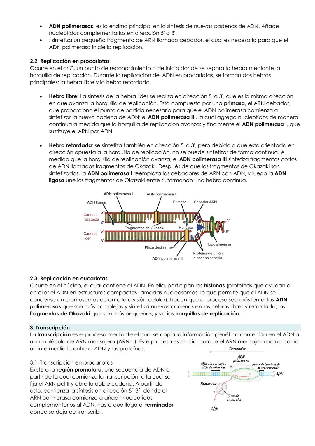 BLOQUE: GENÉTICA MOLECULAR
UNIDAD 7: GENÉTICA MOLECULAR
1. El material genético
1.1. Conceptos e introducción
Hubo una disputa histórica a l
