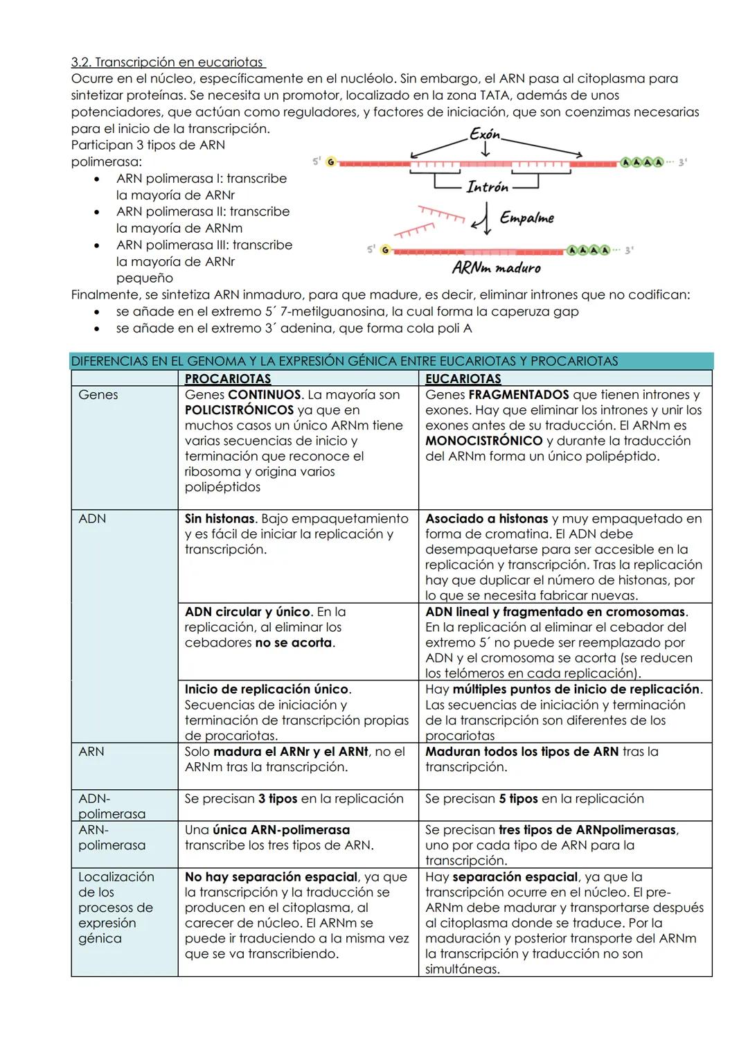 BLOQUE: GENÉTICA MOLECULAR
UNIDAD 7: GENÉTICA MOLECULAR
1. El material genético
1.1. Conceptos e introducción
Hubo una disputa histórica a l