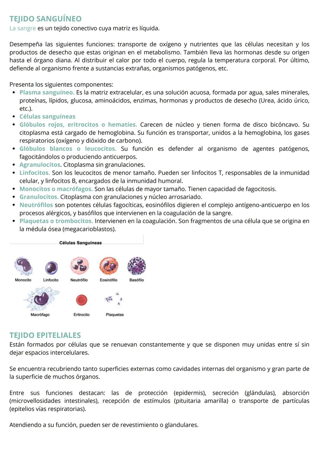 HISTOLOGÍA VEGETAL Y ANIMAL
Las células que constituyen el cuerpo de la mayor parte de los organismos pluricelulares con un alto grado
de co