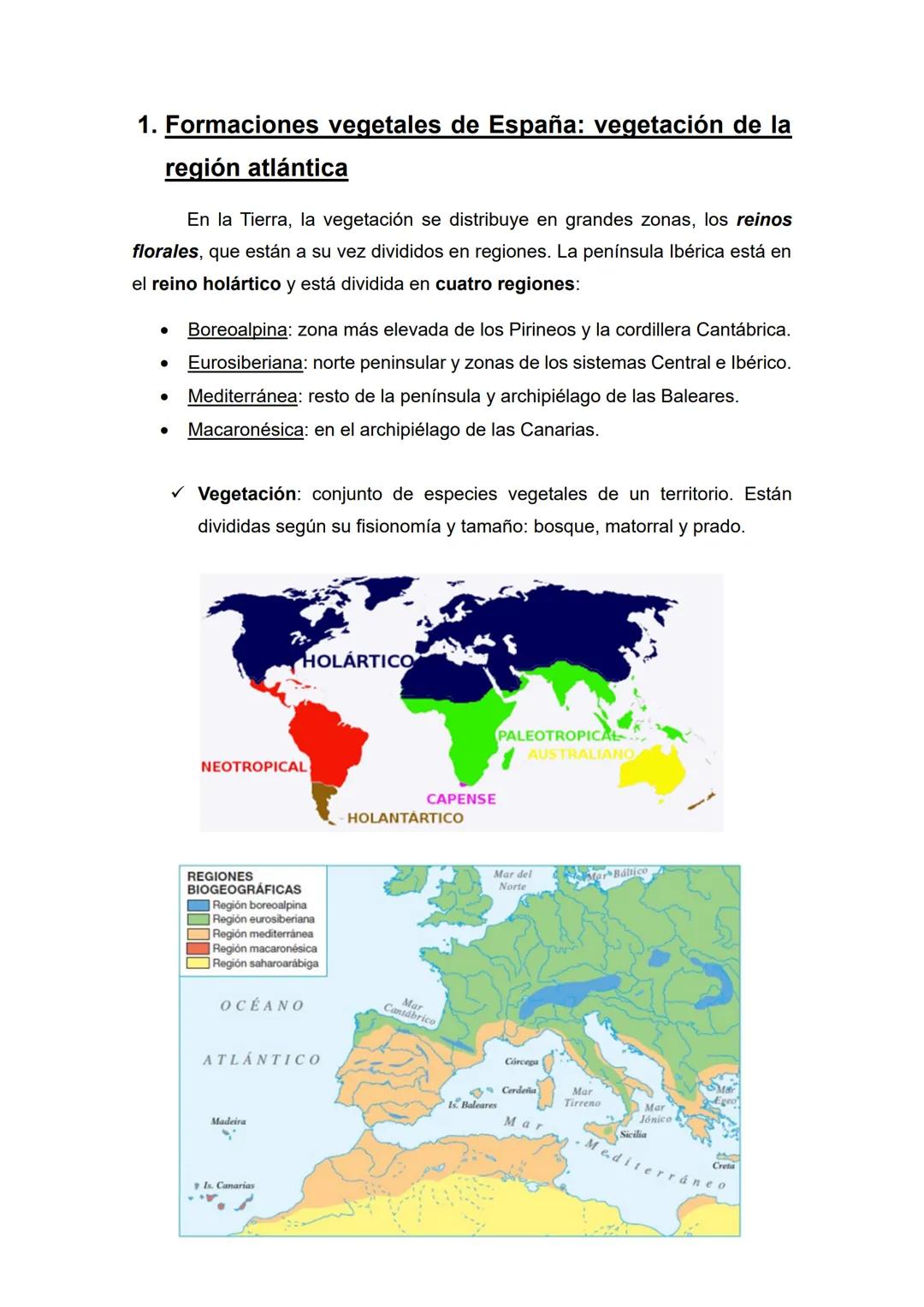 Tema 4 - La vegetación y los suelos
• Temas (1, 2) y epígrafes (a, b, c) que nos pueden preguntar:
1) Formaciones vegetales de España: veget