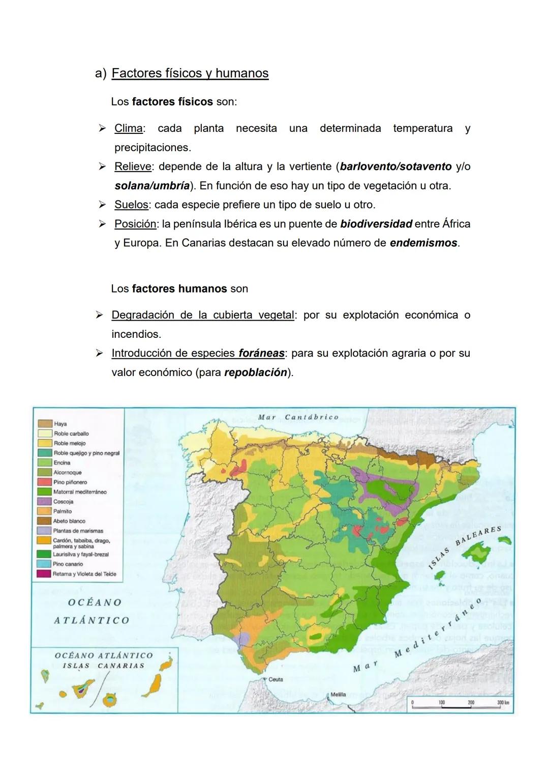 Tema 4 - La vegetación y los suelos
• Temas (1, 2) y epígrafes (a, b, c) que nos pueden preguntar:
1) Formaciones vegetales de España: veget