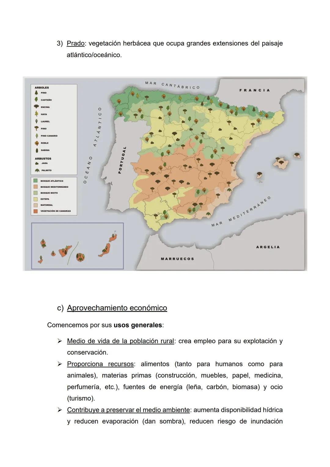 Tema 4 - La vegetación y los suelos
• Temas (1, 2) y epígrafes (a, b, c) que nos pueden preguntar:
1) Formaciones vegetales de España: veget