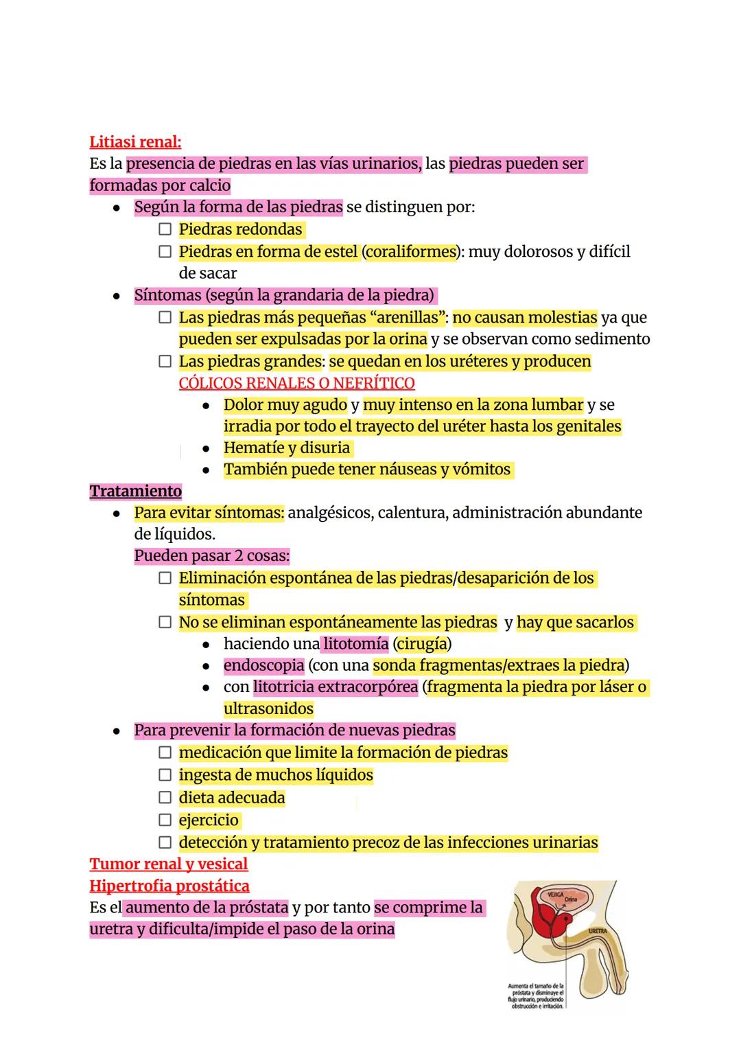 Aparato urinario
Excecció
• Es la eliminación / expulsión de las sustancias que no son útiles o que
son tóxicas para nuestro organismo
• Las