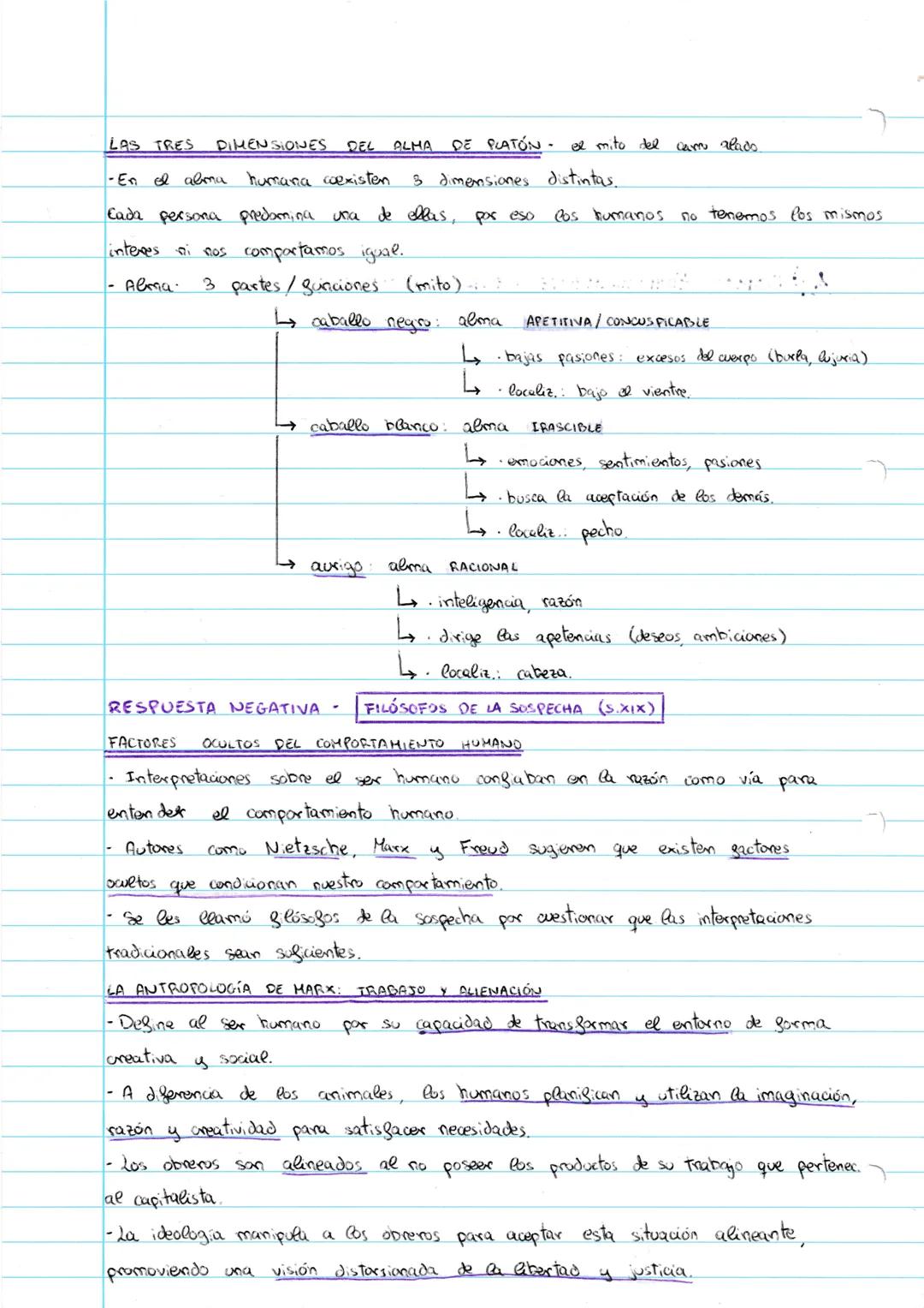 ANTROPOLOGÍA FILOSOFICA
1. ¿SOMOS ESENCIALMENTE SERES RACIONALES? ¿LO QUE NOS HACE HUMANOS ES EL USA DE PARON
RESPUESTA AFIRMATIVA - PLATÓN