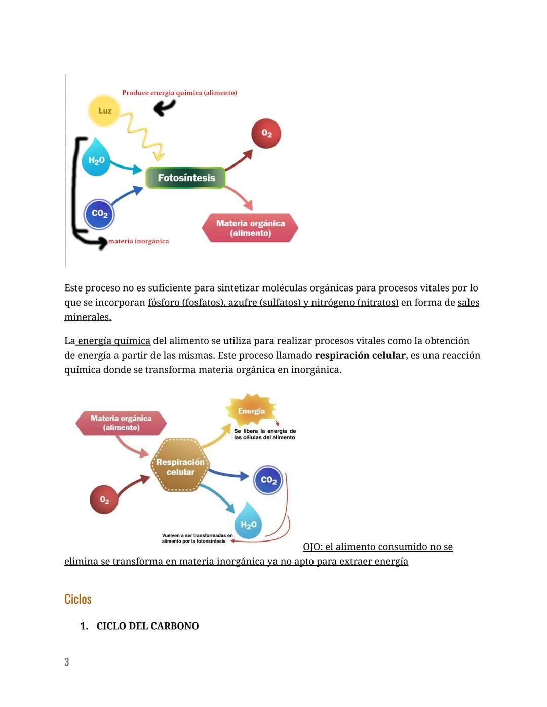 Flujo de materia y energía en
los sistemas
(tema 4 biología)
Ecosistemas
Un ecosistema es el conjunto de organismos en un entorno donde comp