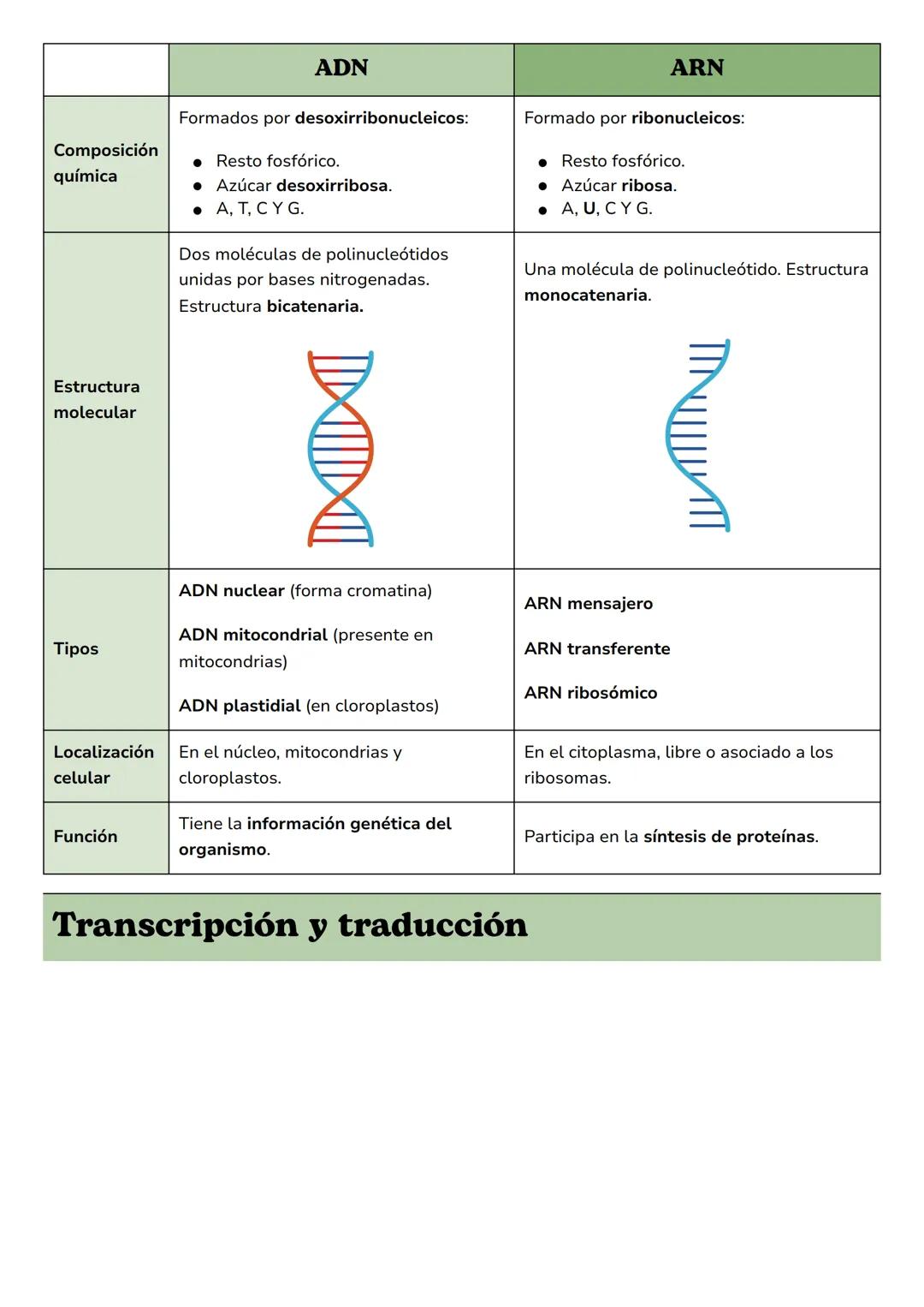 --- OCR Start ---
Examen
Biología
Replicación del ADN
Genes y control del ADN
ADN vs ARN
Transcripción y traducción
Mutaciones
Replicación d
