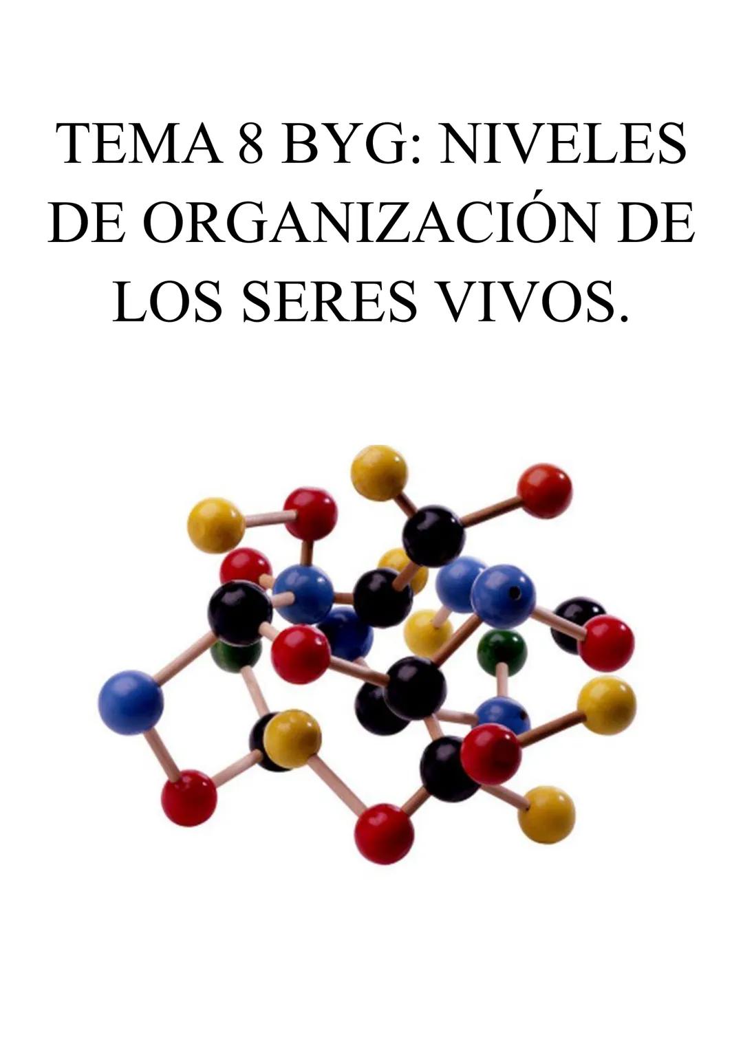 # TEMA 8 BYG: NIVELES
DE ORGANIZACIÓN DE
LOS SERES VIVOS. # 1. LOS SERES VIVOS Y SU ORGANIZACIÓN.
Ser vivo: es un sistema de organización m