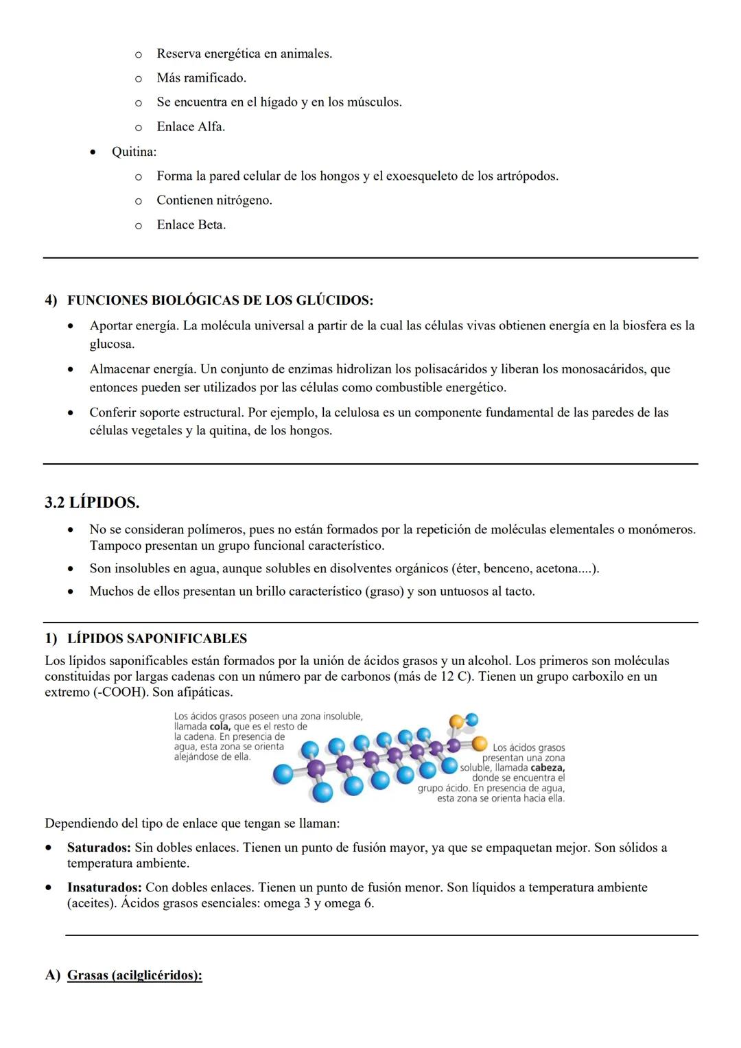 # TEMA 8 BYG: NIVELES
DE ORGANIZACIÓN DE
LOS SERES VIVOS. # 1. LOS SERES VIVOS Y SU ORGANIZACIÓN.
Ser vivo: es un sistema de organización m