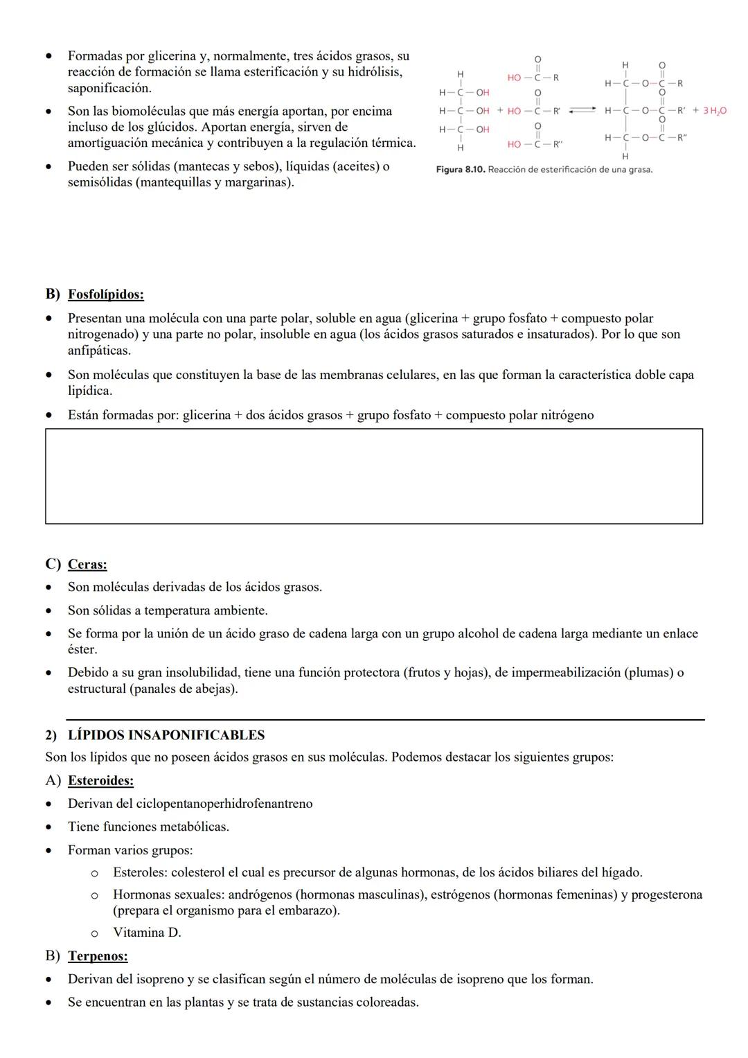 # TEMA 8 BYG: NIVELES
DE ORGANIZACIÓN DE
LOS SERES VIVOS. # 1. LOS SERES VIVOS Y SU ORGANIZACIÓN.
Ser vivo: es un sistema de organización m