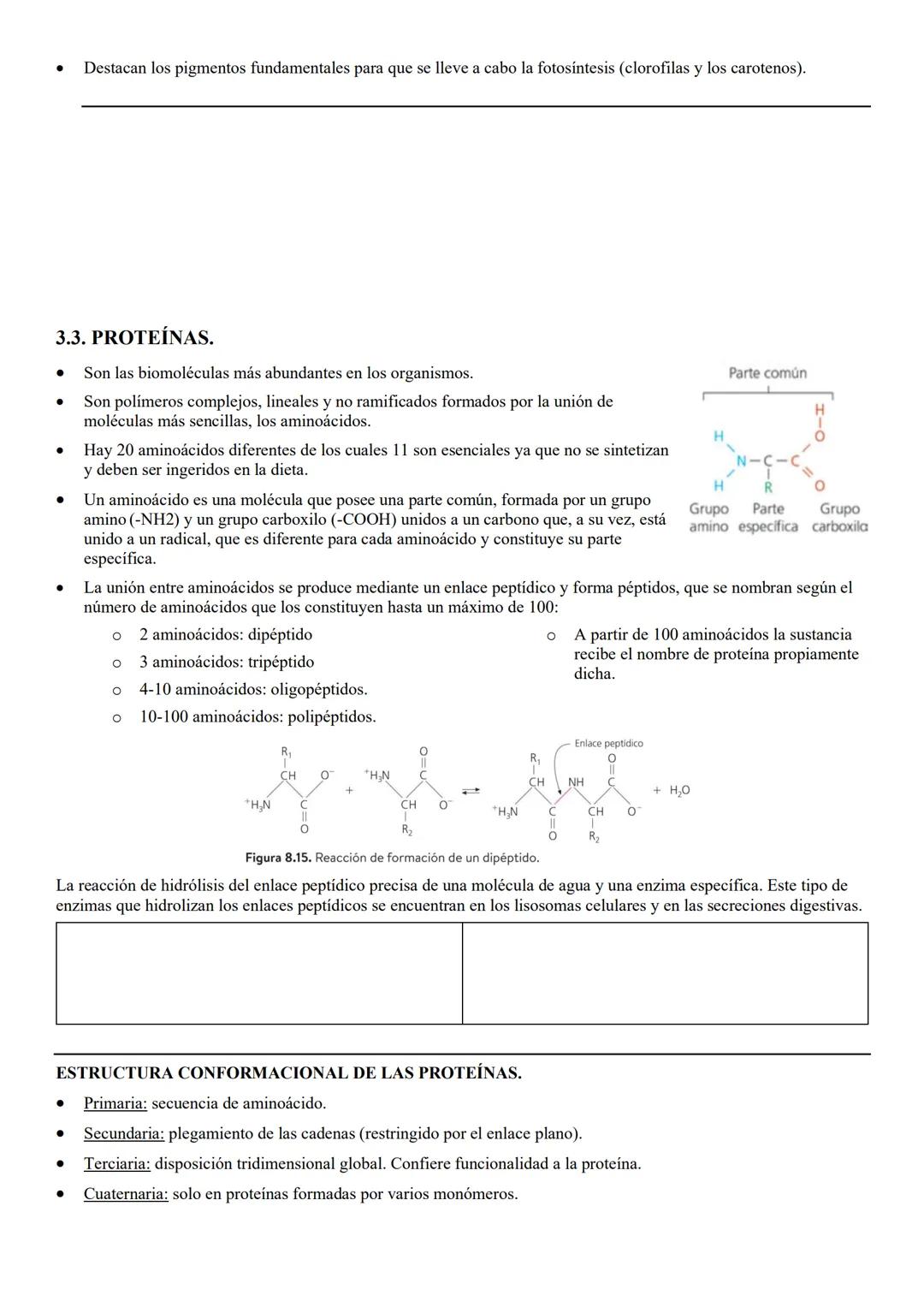 # TEMA 8 BYG: NIVELES
DE ORGANIZACIÓN DE
LOS SERES VIVOS. # 1. LOS SERES VIVOS Y SU ORGANIZACIÓN.
Ser vivo: es un sistema de organización m