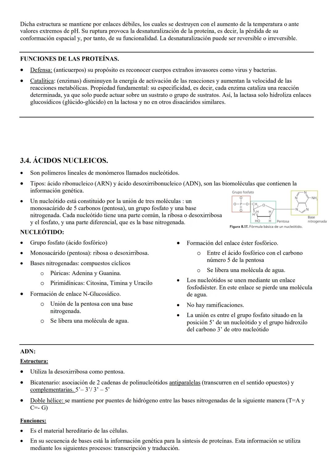 # TEMA 8 BYG: NIVELES
DE ORGANIZACIÓN DE
LOS SERES VIVOS. # 1. LOS SERES VIVOS Y SU ORGANIZACIÓN.
Ser vivo: es un sistema de organización m
