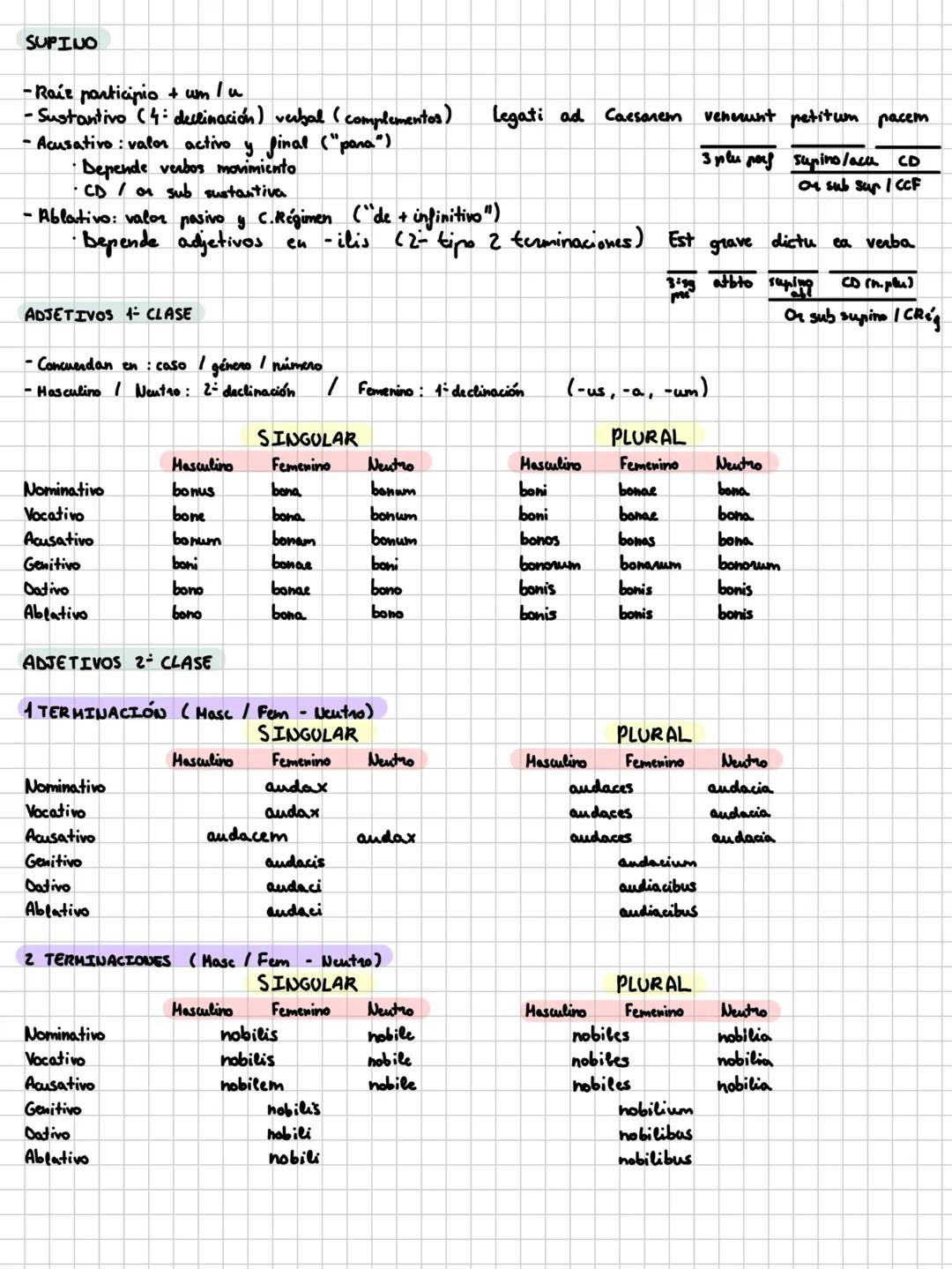 PRIMERA DECLINACIÓ
Singular
Plural
Nominativo
-a
-ae
Vocativo
-a
-ae
Acusativo
-am
-as
Genitivo
-ae
-arum
Dativo
-ae
-is
Ablativo
-a
-is
SEG