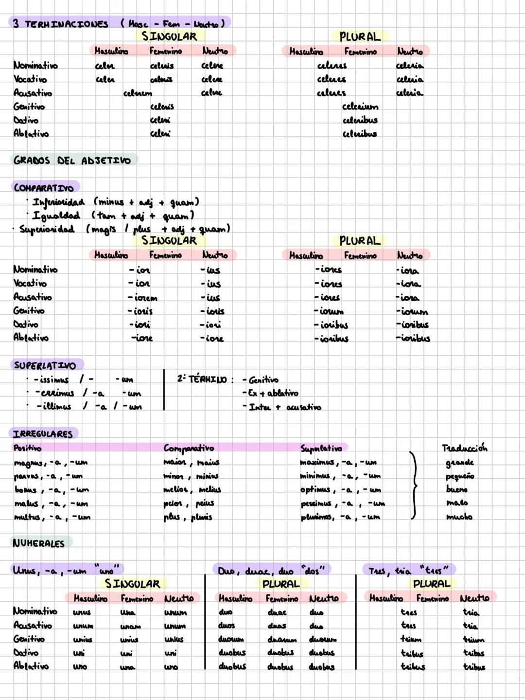 PRIMERA DECLINACIÓ
Singular
Plural
Nominativo
-a
-ae
Vocativo
-a
-ae
Acusativo
-am
-as
Genitivo
-ae
-arum
Dativo
-ae
-is
Ablativo
-a
-is
SEG