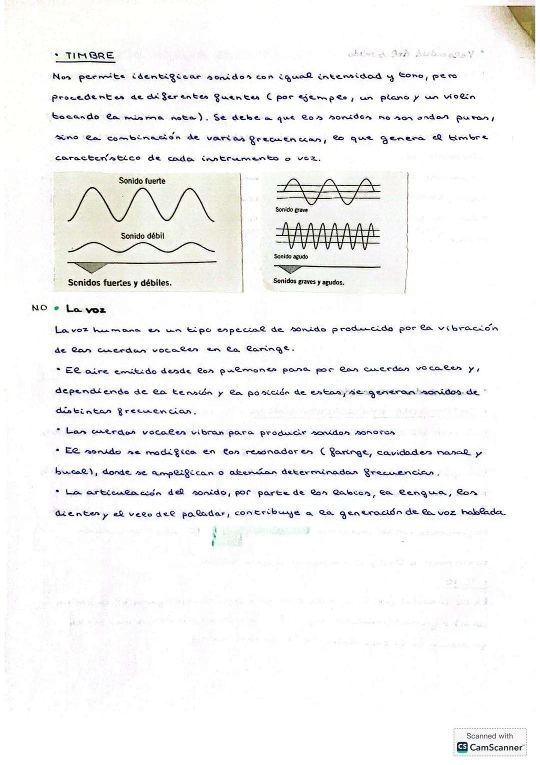 # TEMA 3: ONDAS
## 4. MOVIMIENTO ONDULATORIO
El movimiento ondulatorio es la propagación de una perturbación a través de un medio, transpo