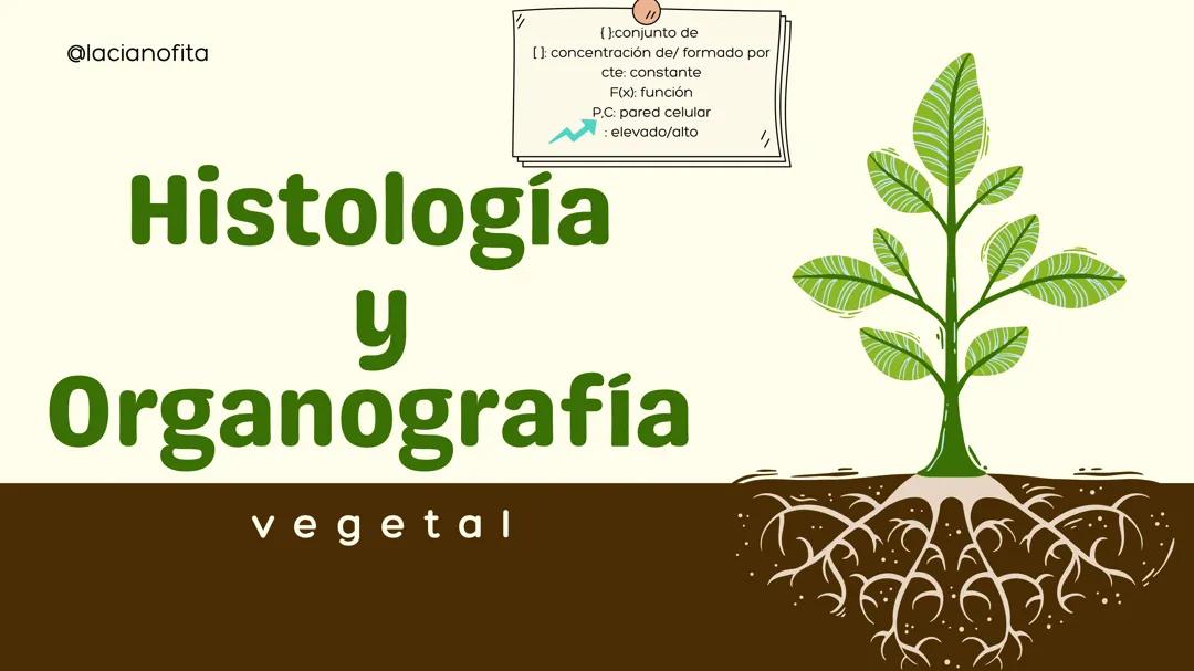 HISTOLOGÍA Y ORGANOGRAFÍA VEGETAL