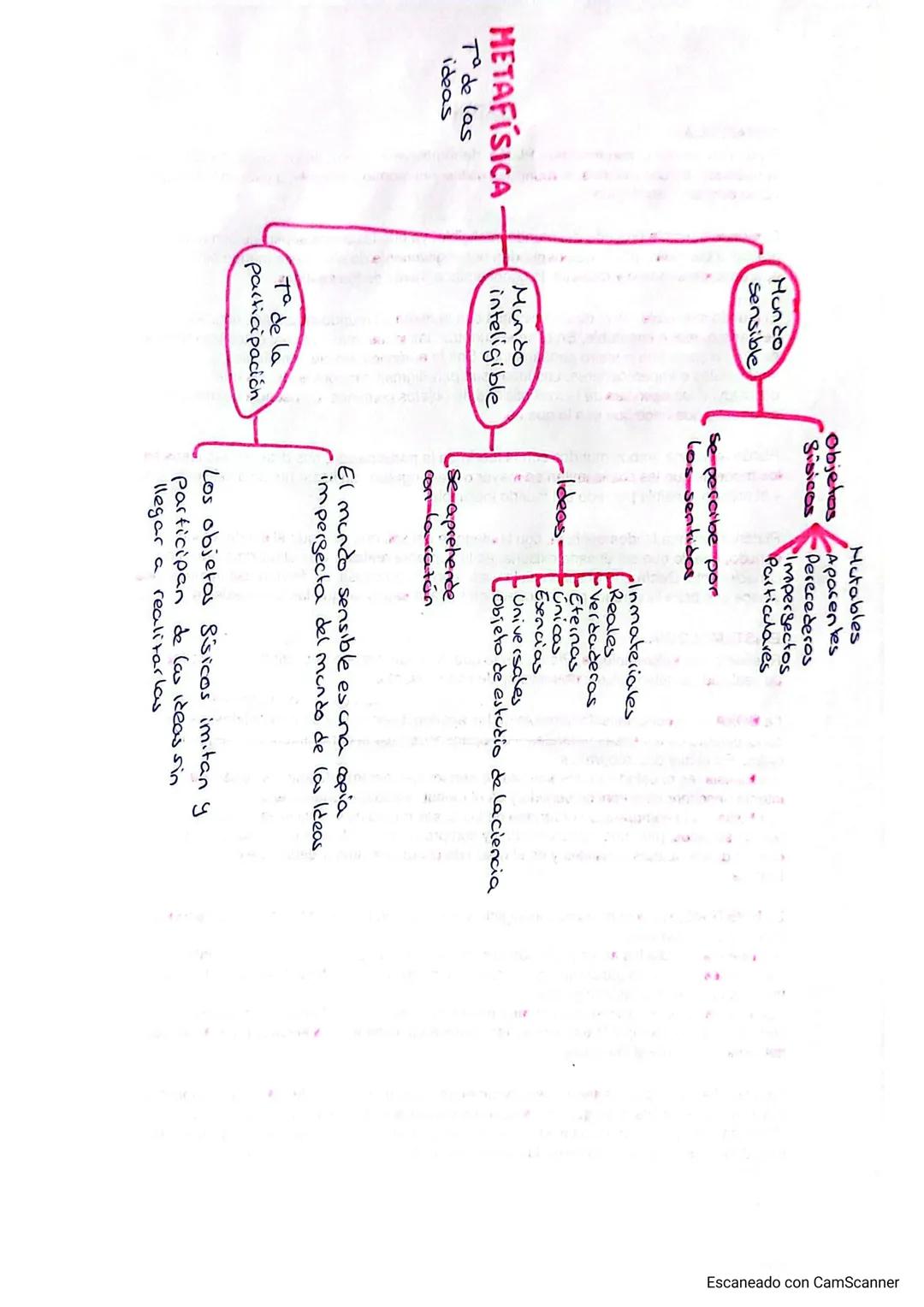 METAFÍSICA:
PLATÓN
Para comprender la metafísica de Platón, debemos ver la teoría de las ideas, la cual supone
la distinción de dos mundos,