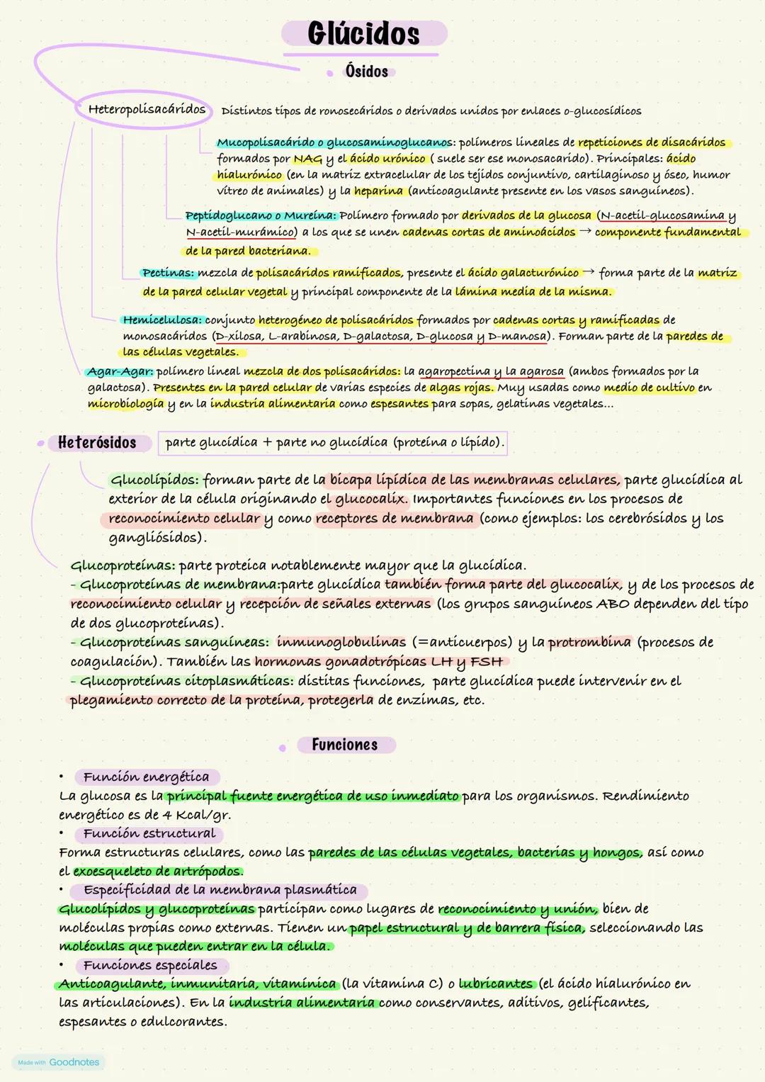 Glúcidos
Azúcares, carbohidratos o hidratos de carbono
Son biomoléculas orgánicas formada. s
por H, cyo.
Todos los carbonos unidos a grupos