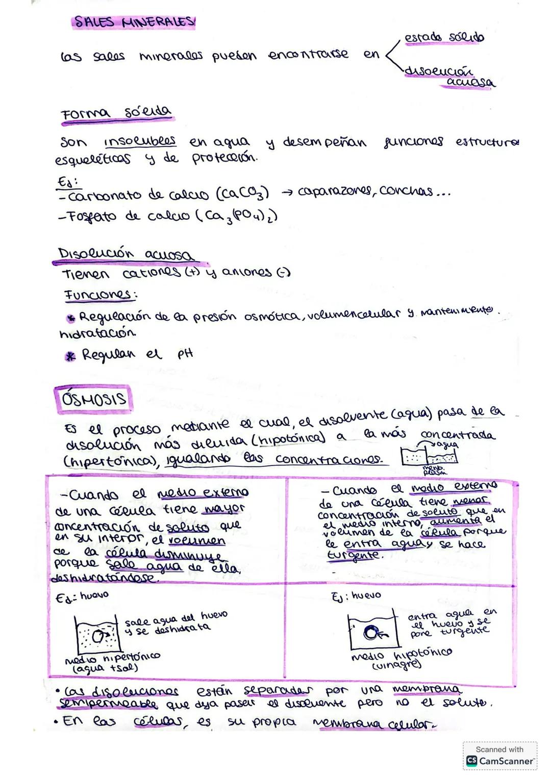 # Elevado calor específico
El agua necesita más calor que otra sustancia en calentarse y el agua regula la temperatura en la naturaleza (Te