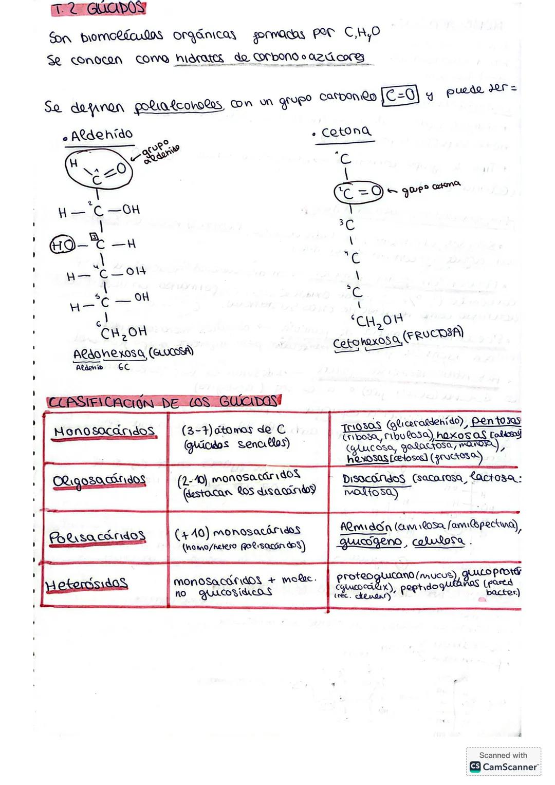 T.2 GLÚCIDOS
Son biomoléculas orgánicas formadas por C,H,O
Se conocen como hidratos de carbono o azúcares
Se definen polialcoholes con un gr