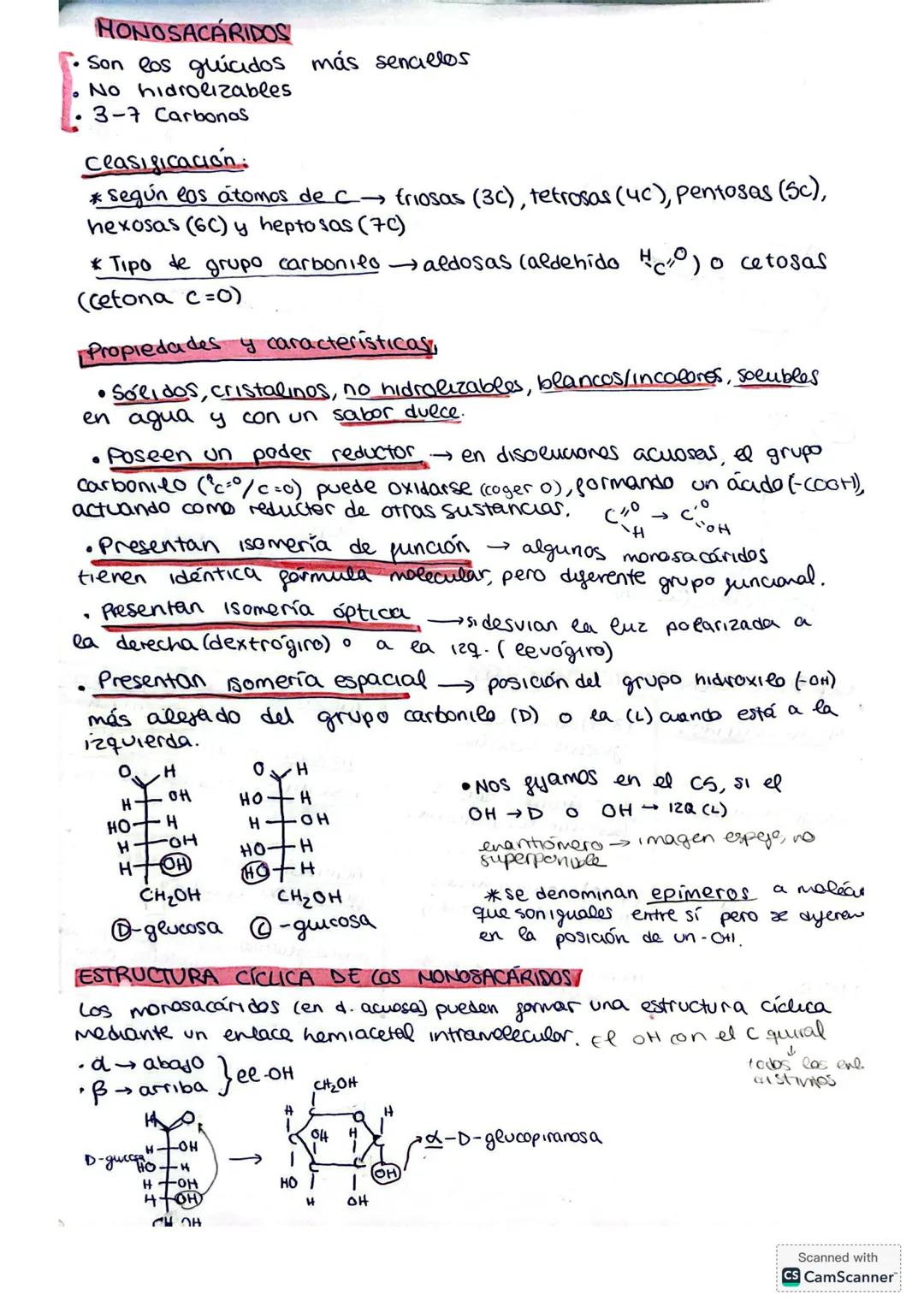 T.2 GLÚCIDOS
Son biomoléculas orgánicas formadas por C,H,O
Se conocen como hidratos de carbono o azúcares
Se definen polialcoholes con un gr