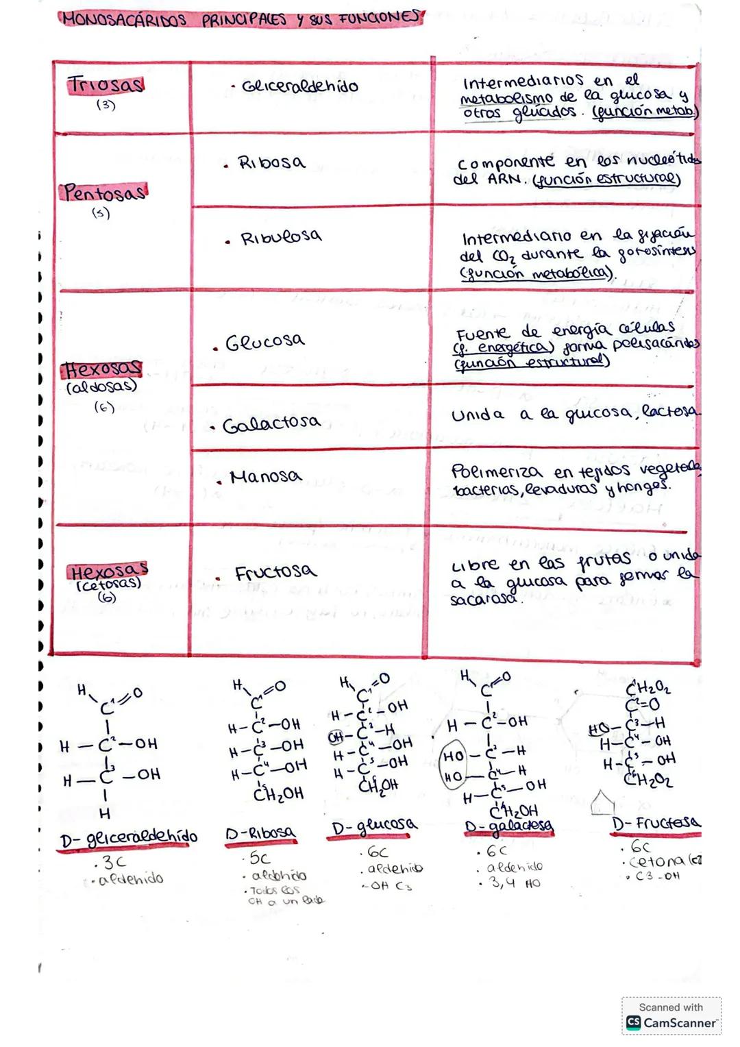 T.2 GLÚCIDOS
Son biomoléculas orgánicas formadas por C,H,O
Se conocen como hidratos de carbono o azúcares
Se definen polialcoholes con un gr