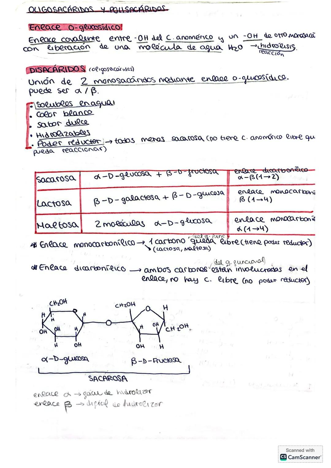 T.2 GLÚCIDOS
Son biomoléculas orgánicas formadas por C,H,O
Se conocen como hidratos de carbono o azúcares
Se definen polialcoholes con un gr