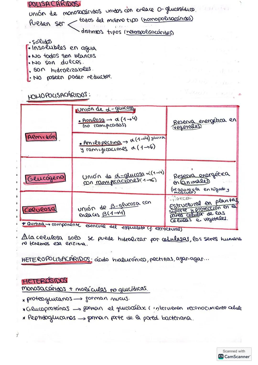 T.2 GLÚCIDOS
Son biomoléculas orgánicas formadas por C,H,O
Se conocen como hidratos de carbono o azúcares
Se definen polialcoholes con un gr
