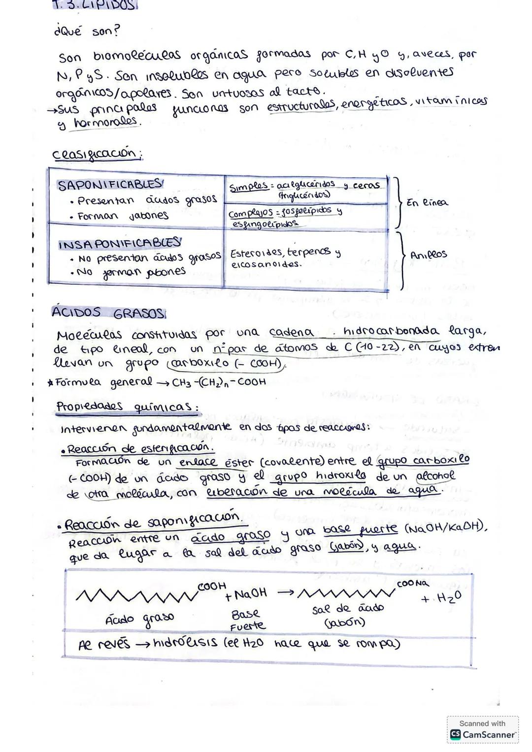 1.3. LÍPIDOS
¿Qué son?
Son biomoléculas orgánicas formadas por C, H y O y, aveces, por
N, P y S. Son insolubles en agua pero solubles en dis