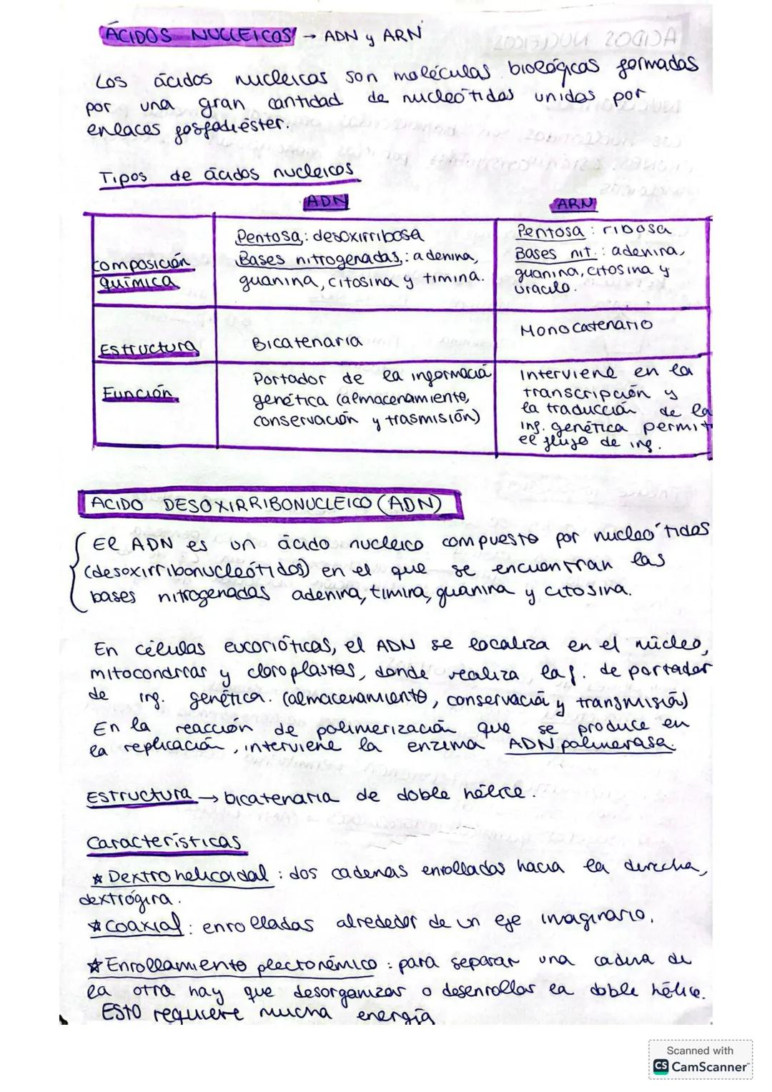 ACIDOS NUCLEICOS
NUCLEOTIDOS/
Cos nucleótidos son biomoléculas orgánkas formadas por
CHONPS. Son las unidades básicas que forman los ácides