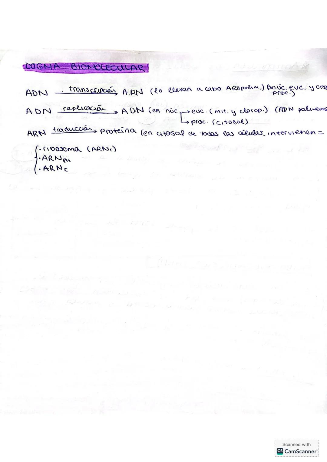 ACIDOS NUCLEICOS
NUCLEOTIDOS/
Cos nucleótidos son biomoléculas orgánkas formadas por
CHONPS. Son las unidades básicas que forman los ácides