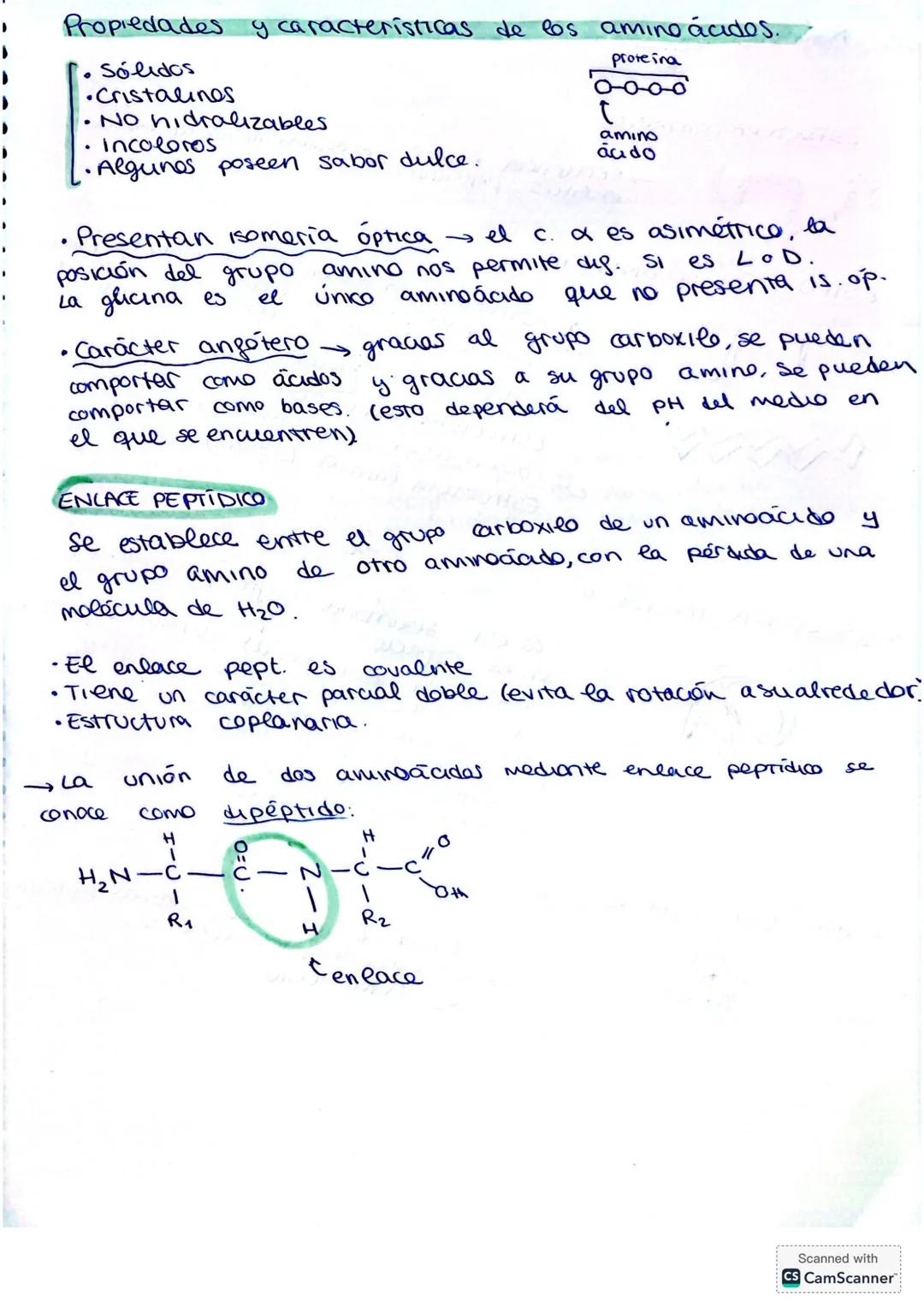 ## PROTEÍNAS
Las proteínas son biomoléculas orgánicas compuestas
por CHONS y formadas por una o varias cadenas
polipéptídicas que resultan d