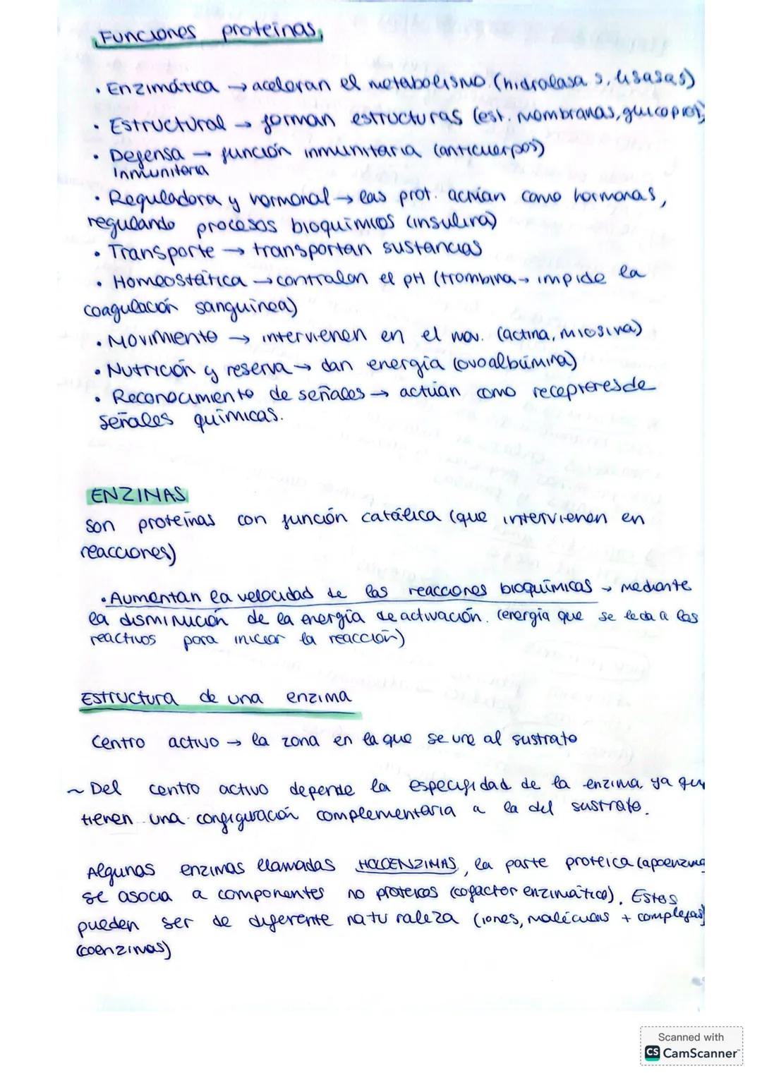 ## PROTEÍNAS
Las proteínas son biomoléculas orgánicas compuestas
por CHONS y formadas por una o varias cadenas
polipéptídicas que resultan d