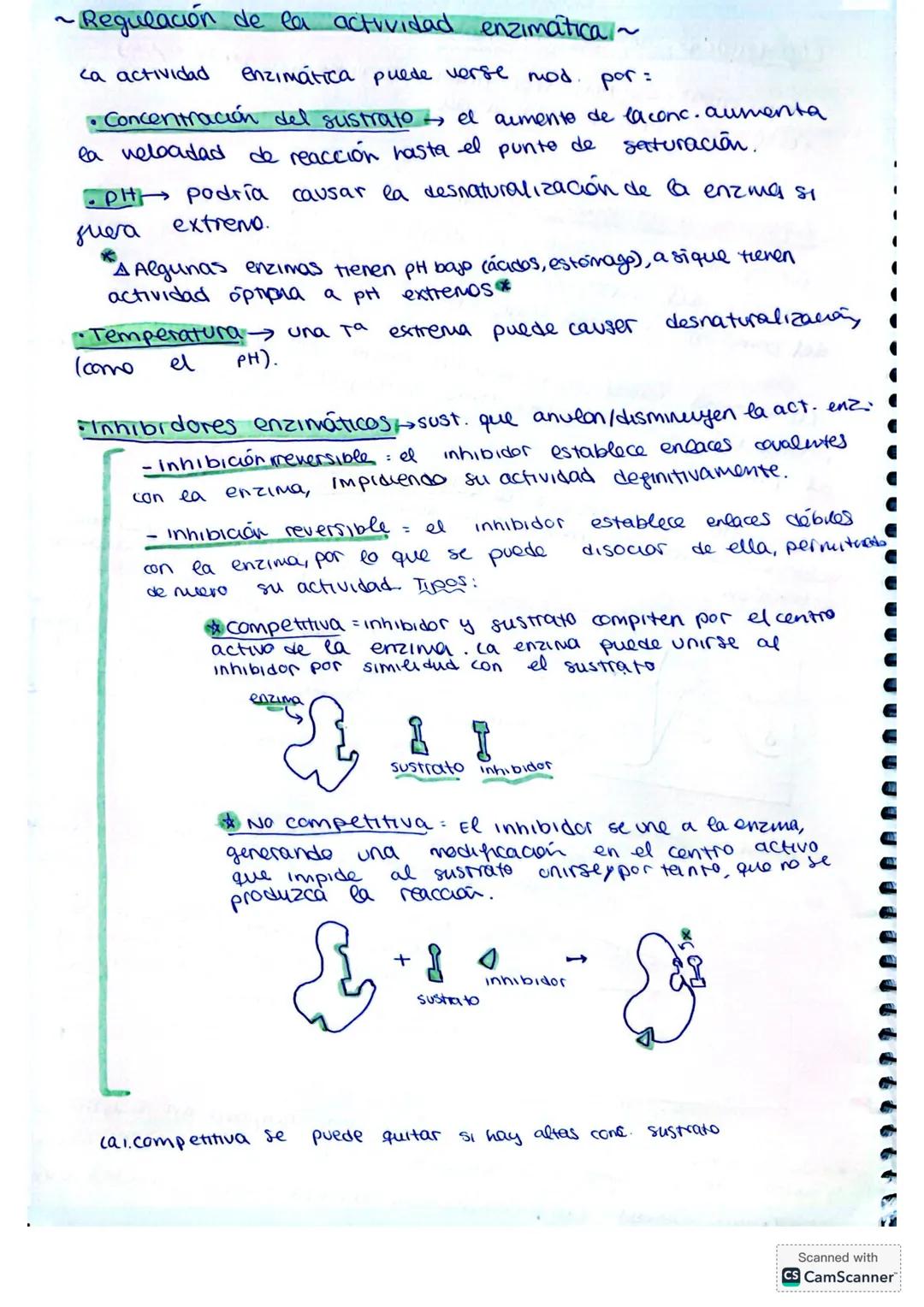 ## PROTEÍNAS
Las proteínas son biomoléculas orgánicas compuestas
por CHONS y formadas por una o varias cadenas
polipéptídicas que resultan d