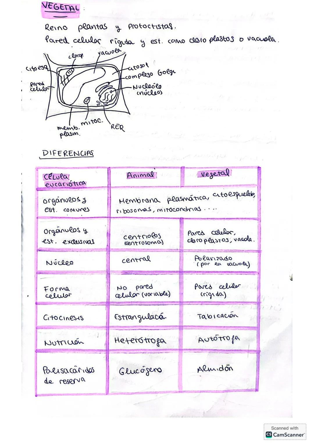 ## LA CÉLULA
La citología es la rama de la biología que estudia la estructura y función de la célula.
**Fundamentos de la teoría celular:*